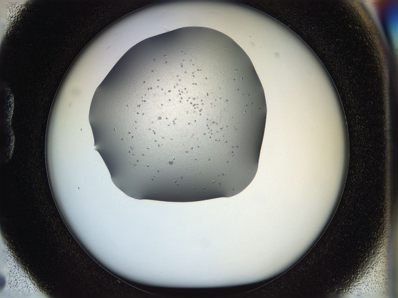 05jq_B5_ImagerDefaults_6.jpg