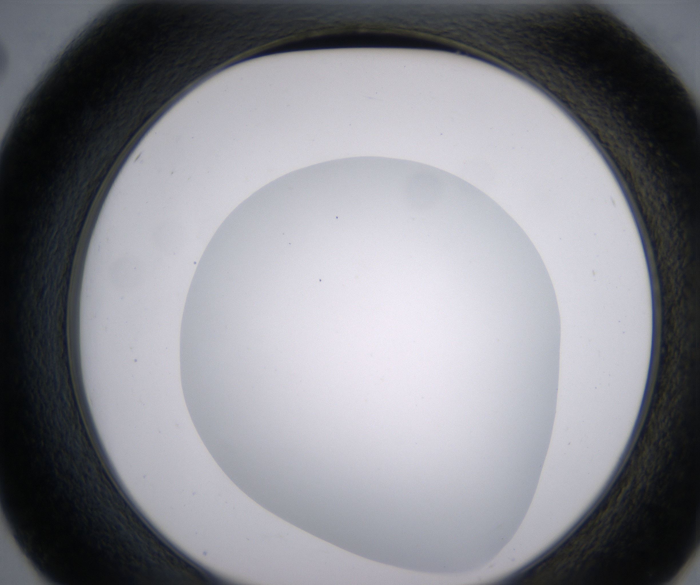 E2_HighResolution_Clear_2.jpg