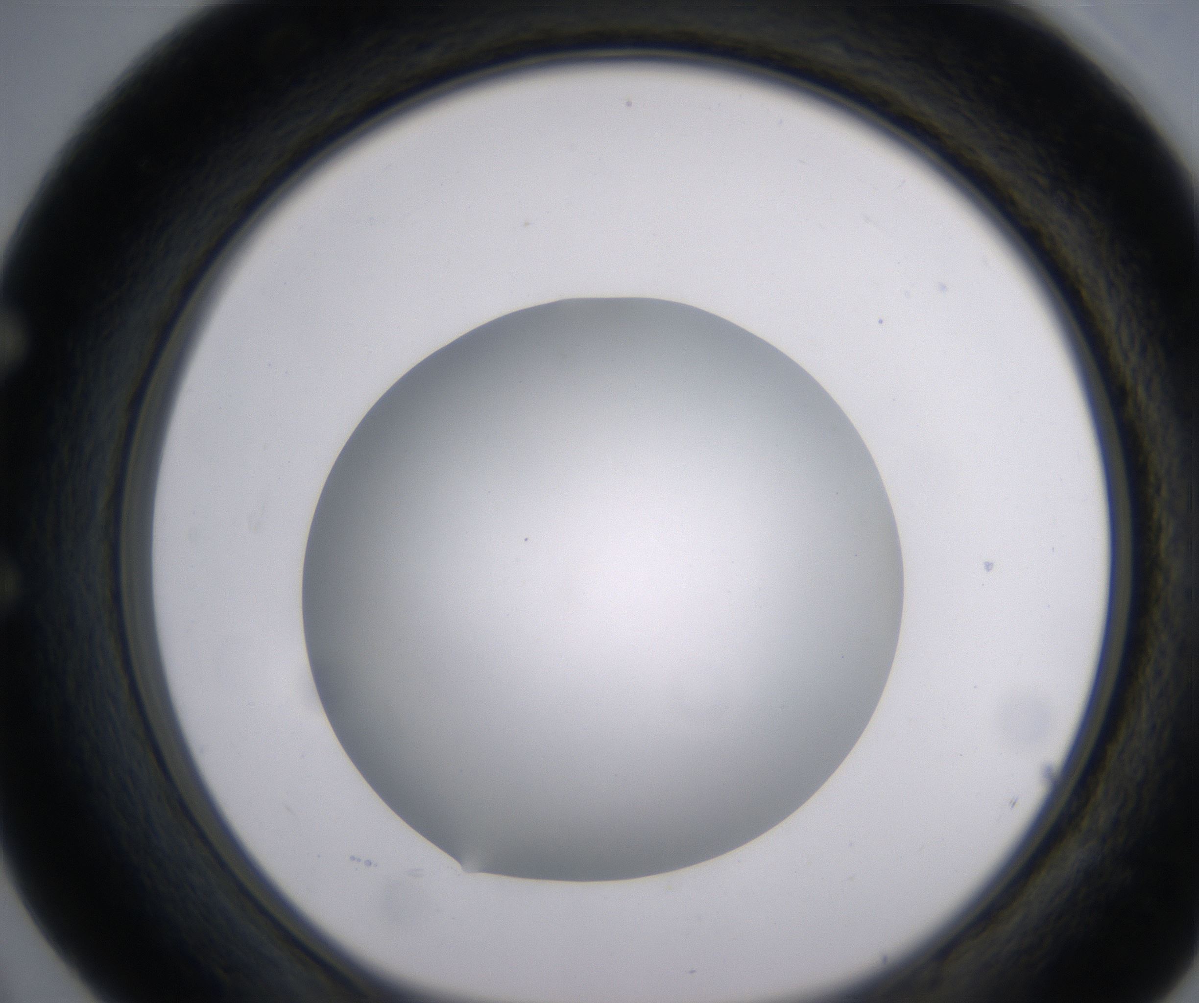 E4_HighResolution_Clear_1.jpg