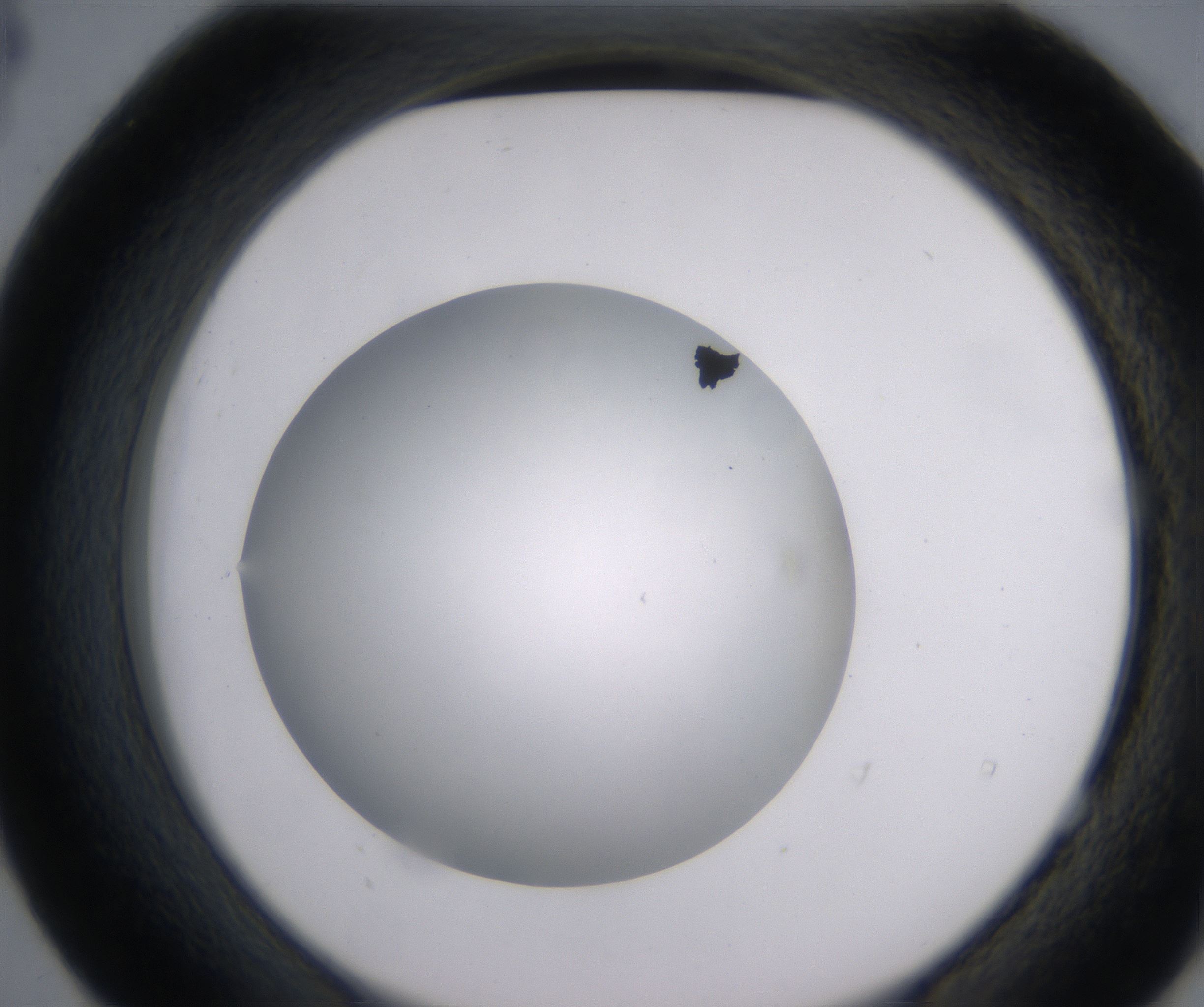 E4_HighResolution_Clear_2.jpg