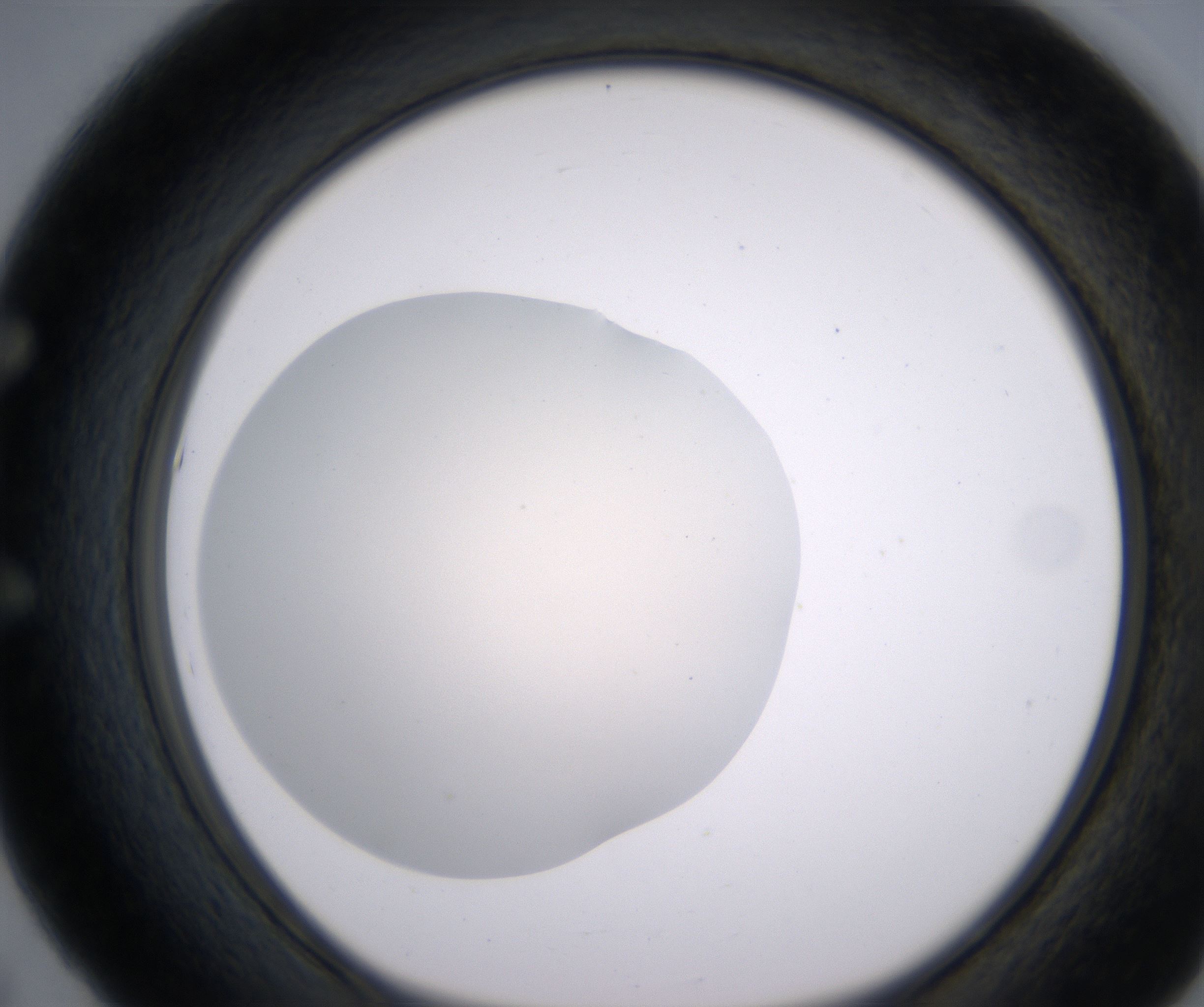 E5_HighResolution_Clear_1.jpg
