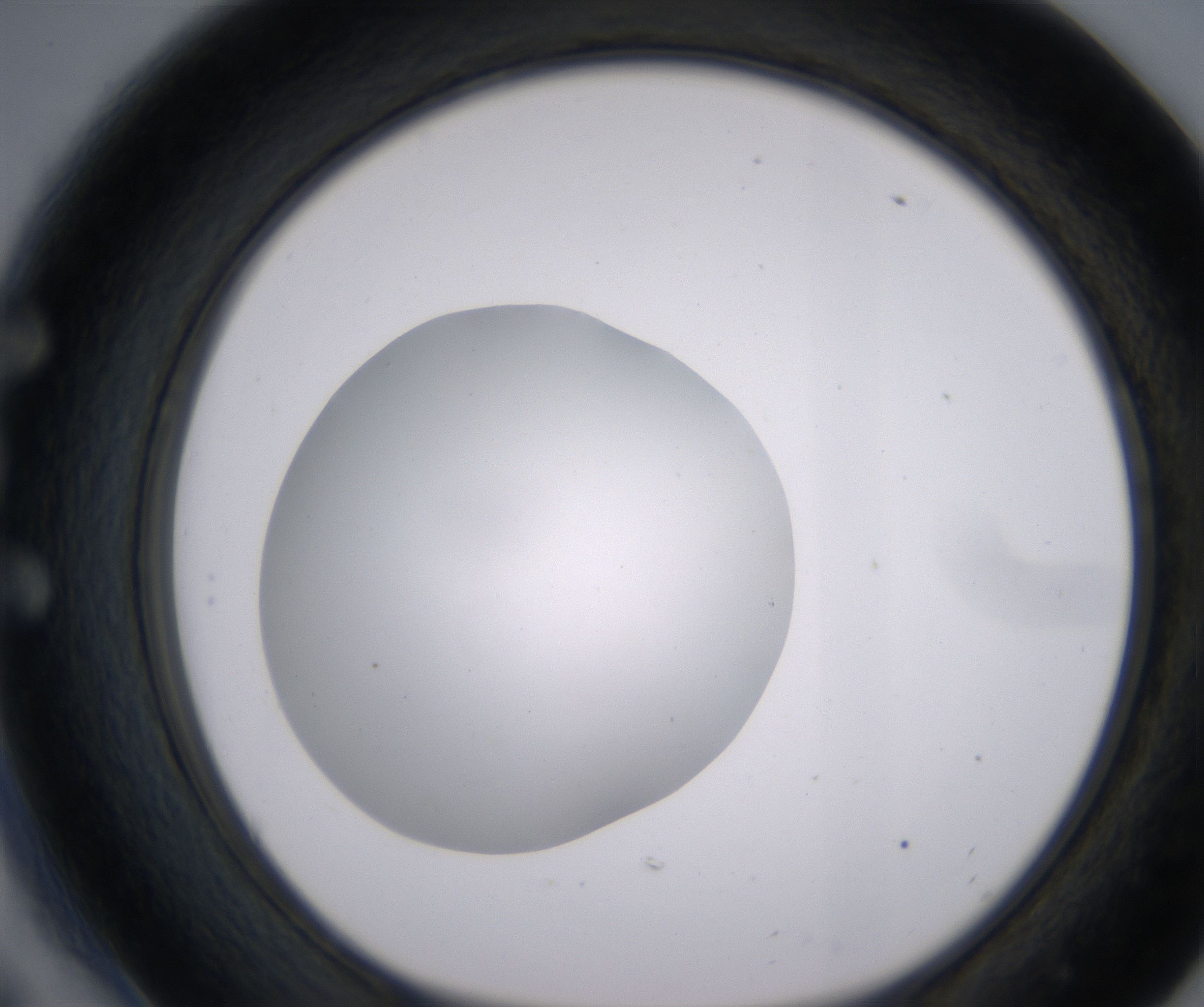E6_HighResolution_Clear_1.jpg