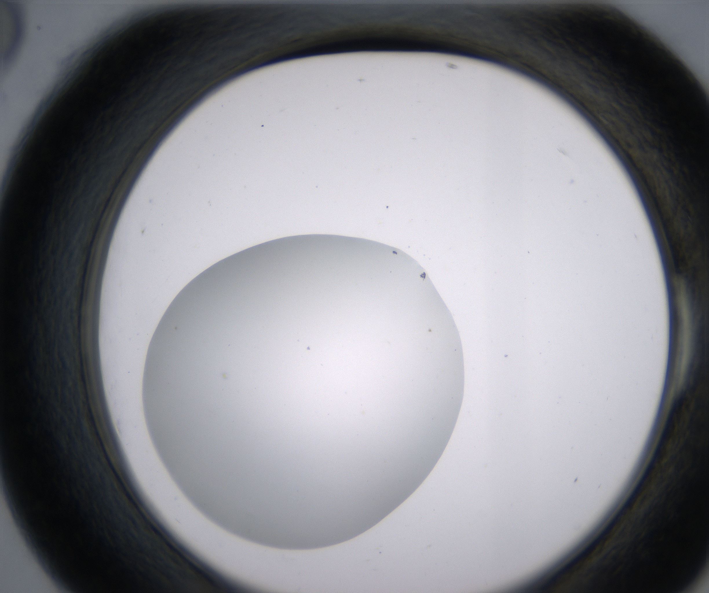 E6_HighResolution_Clear_2.jpg