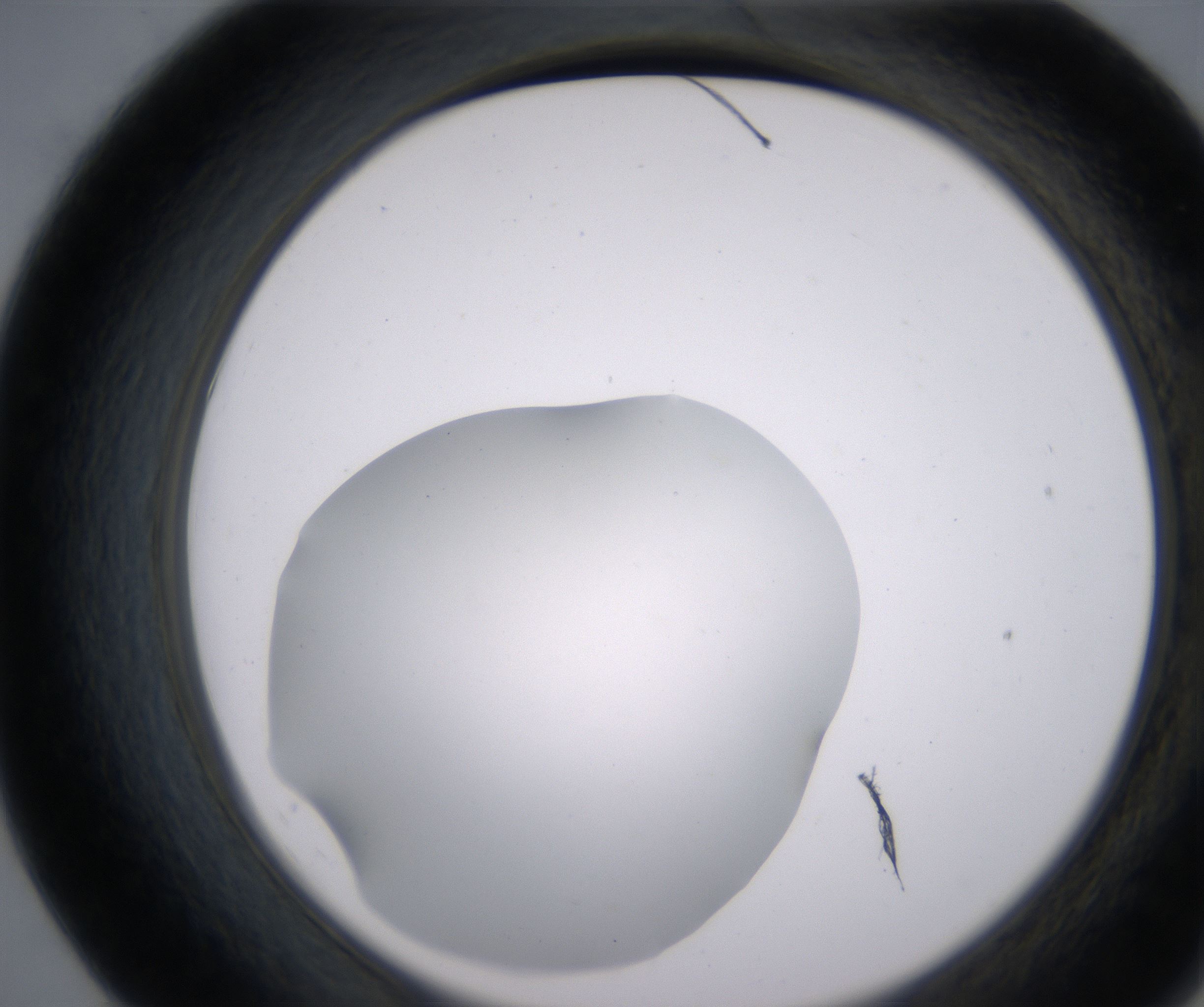E7_HighResolution_Clear_2.jpg