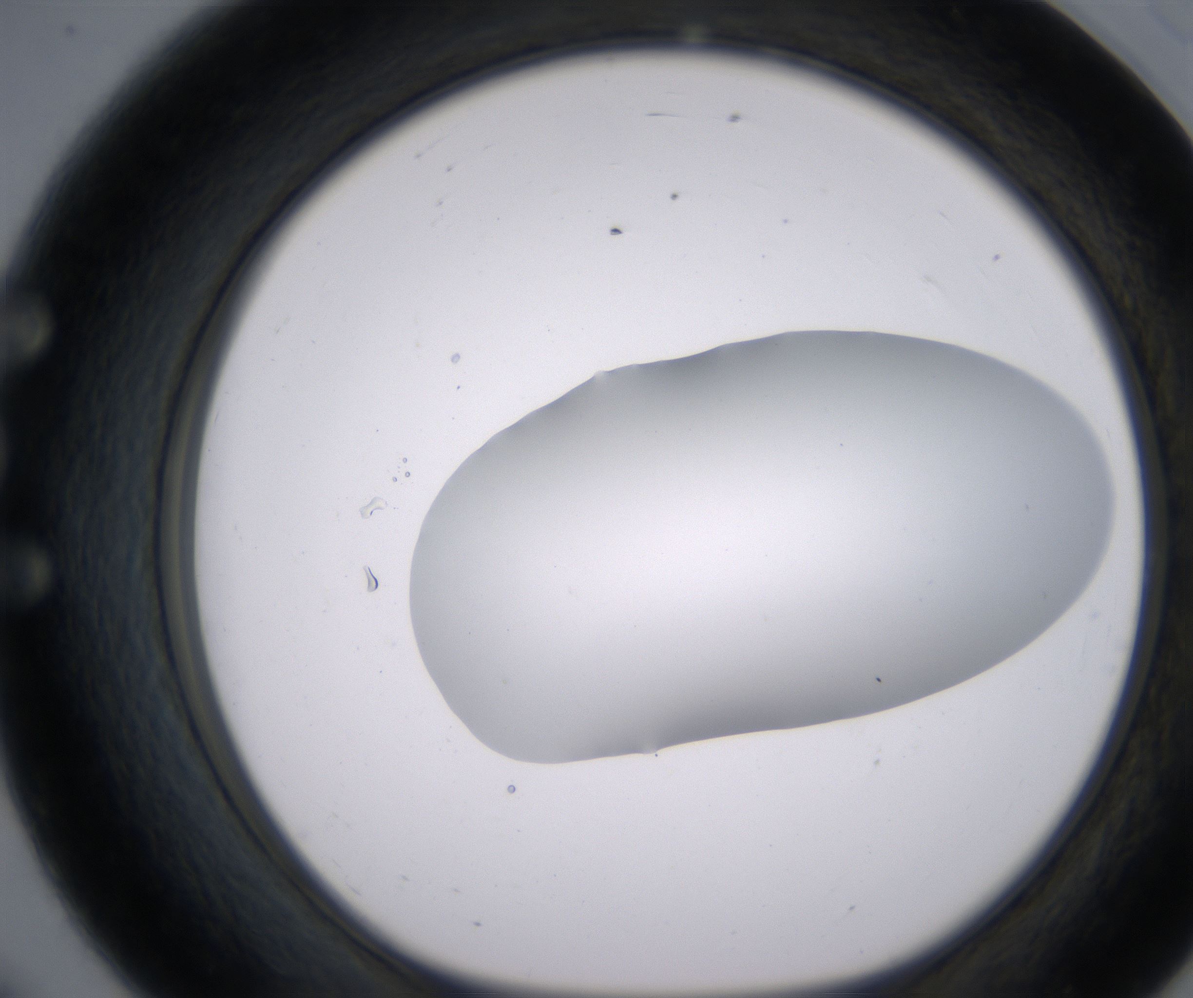 E8_HighResolution_Clear_1.jpg