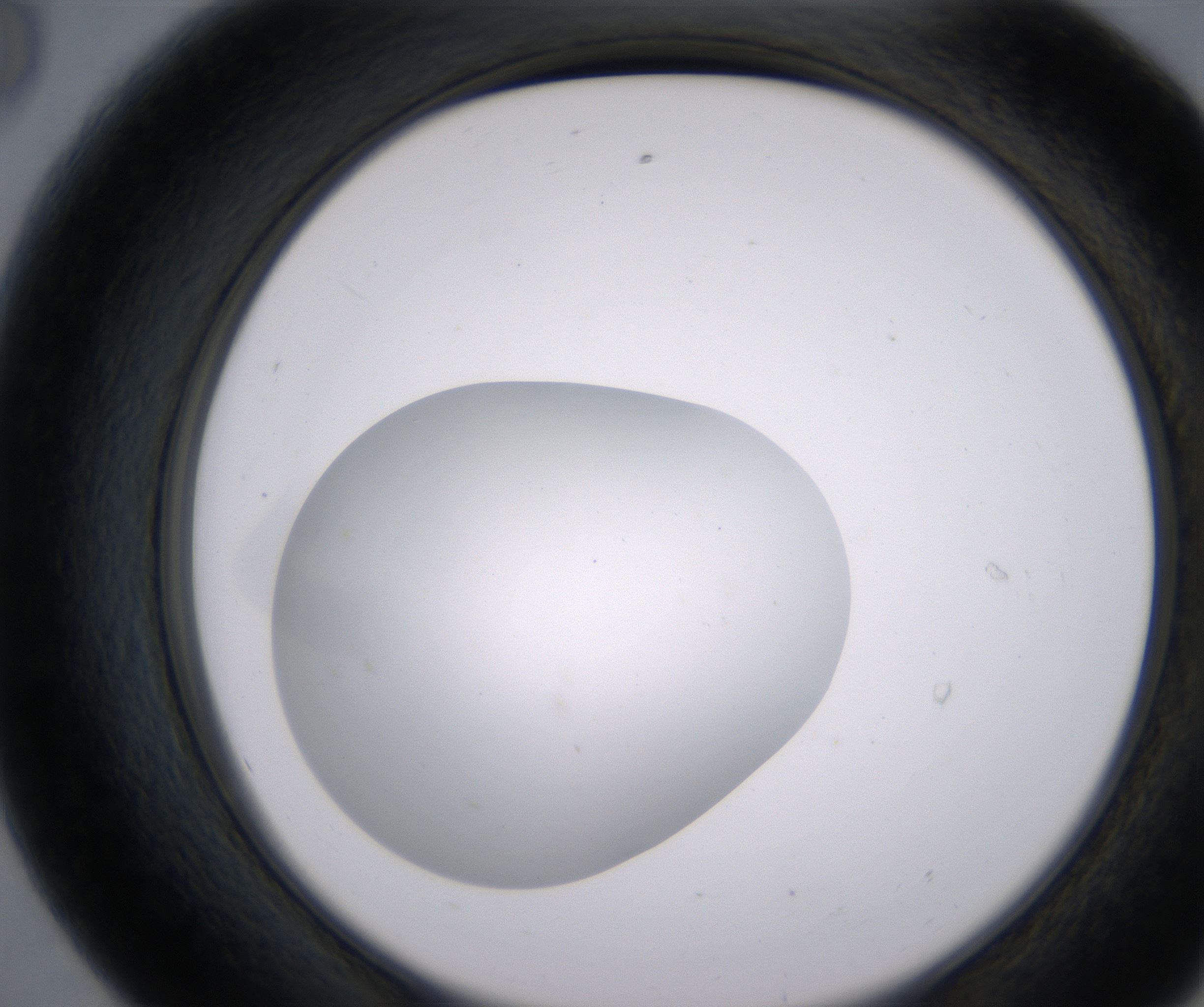 E8_HighResolution_Clear_2.jpg