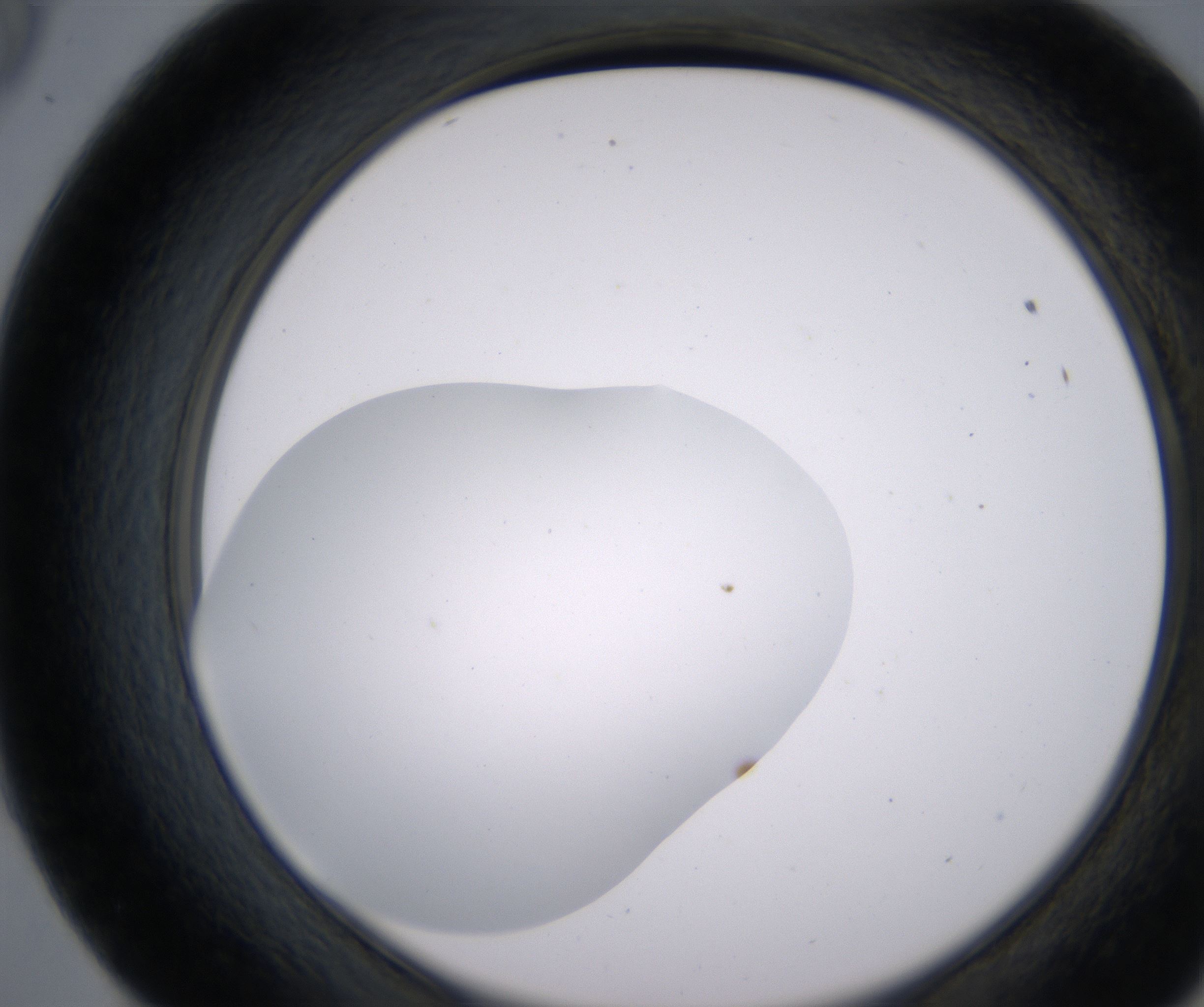 E9_HighResolution_Clear_2.jpg