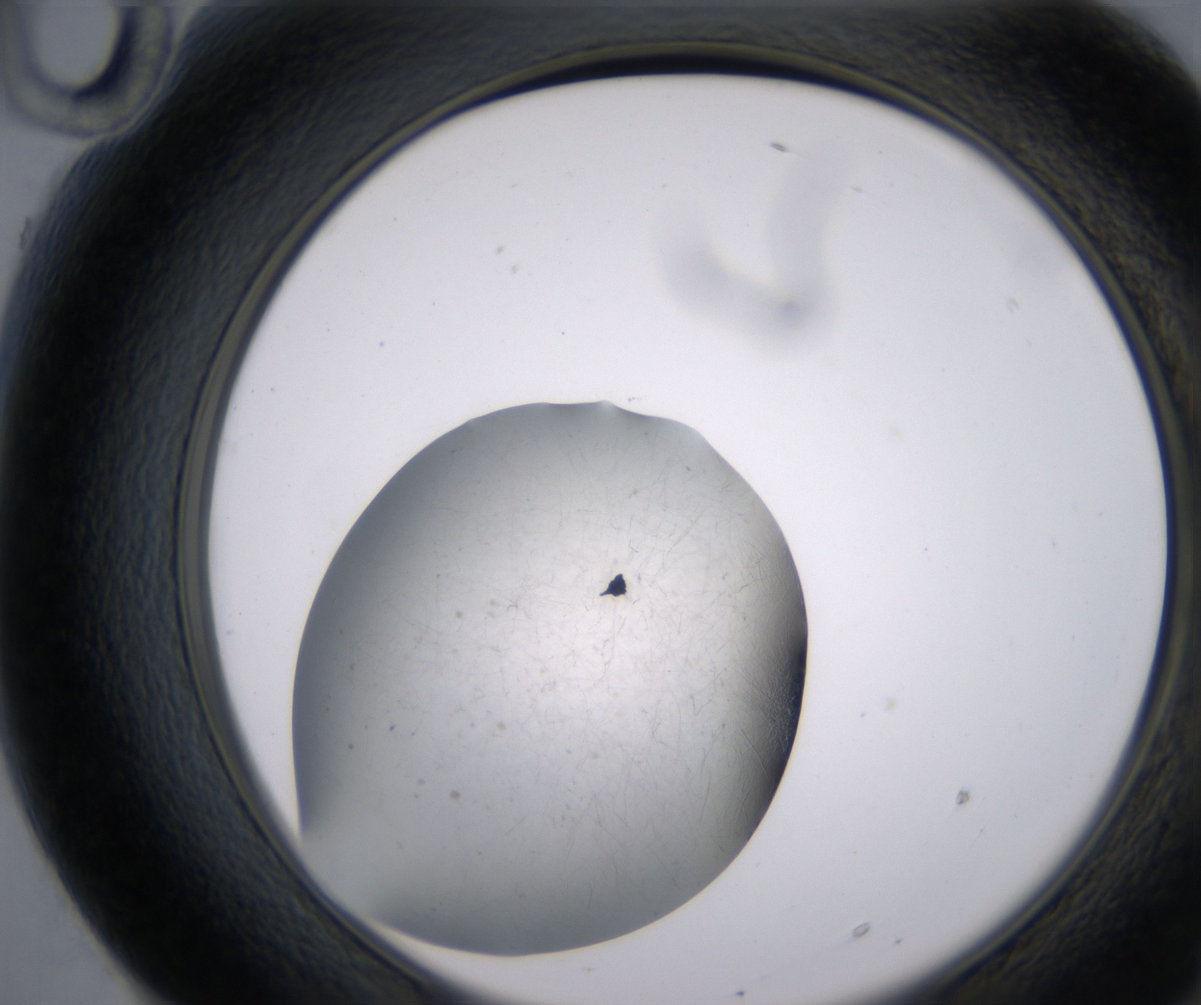 F10_HighResolution_Precipitate_2.jpg
