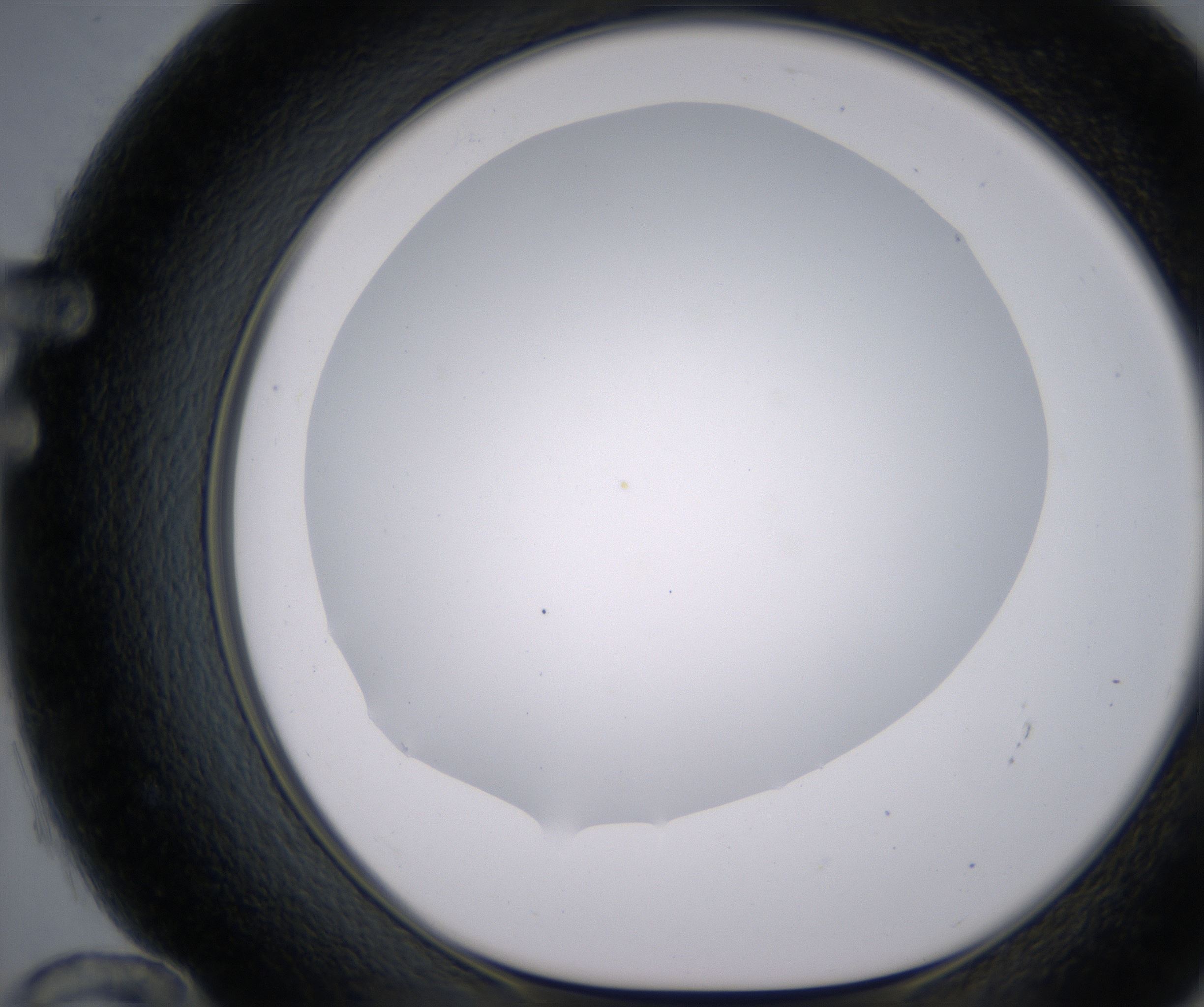 F12_HighResolution_Clear_1.jpg