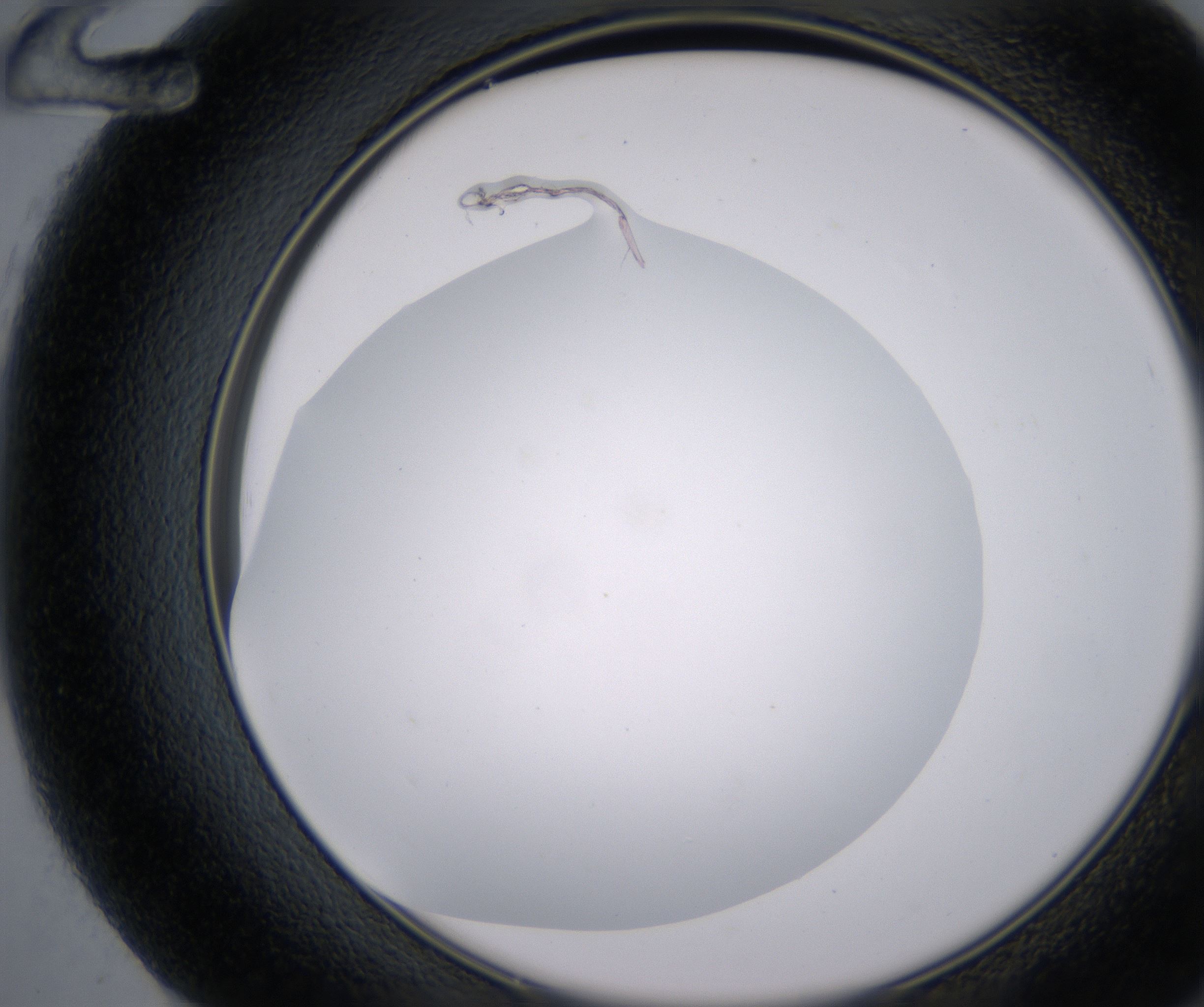F12_HighResolution_Clear_2.jpg
