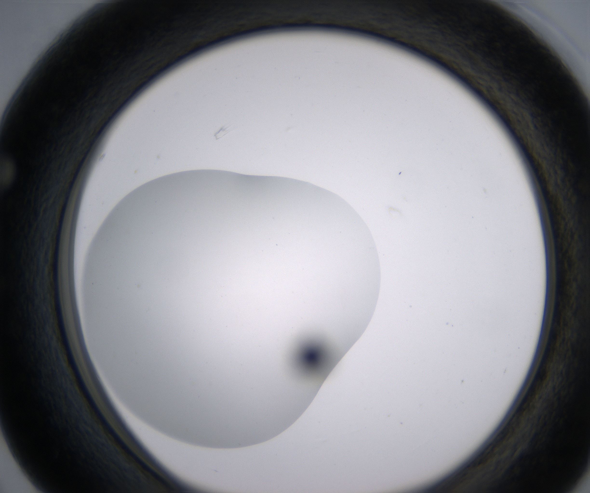 F3_HighResolution_Clear_1.jpg