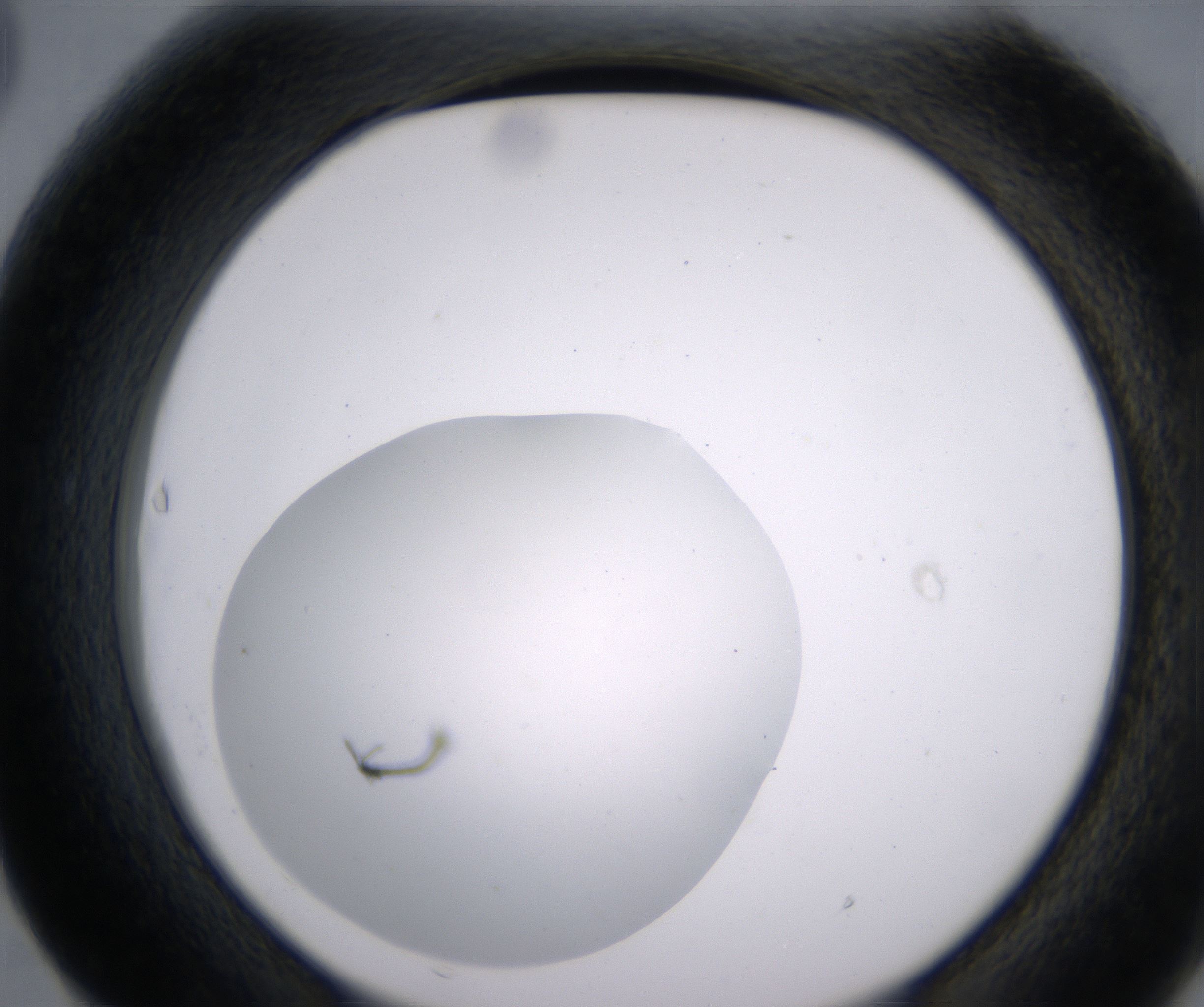 F3_HighResolution_Clear_2.jpg