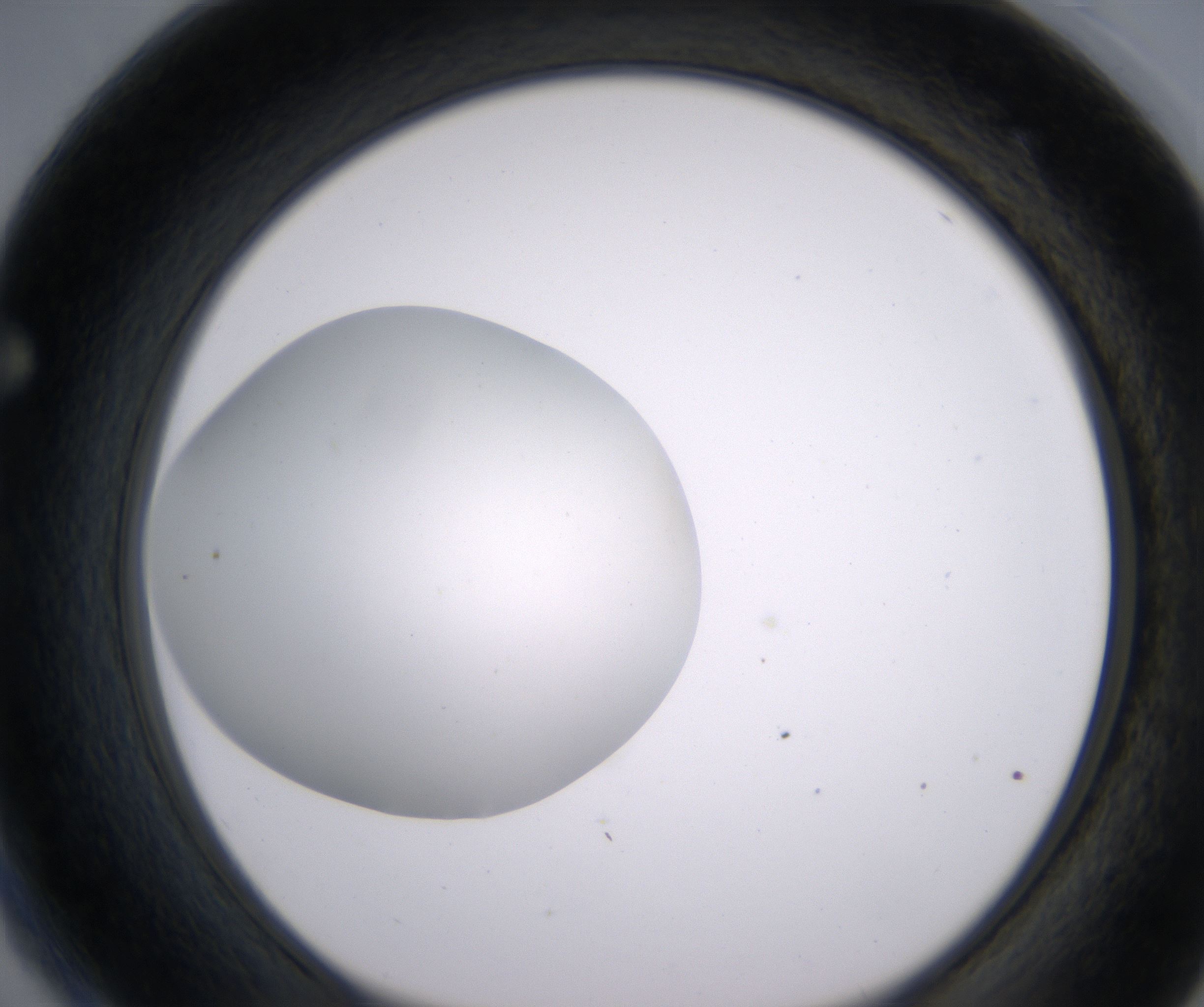 F4_HighResolution_Clear_1.jpg