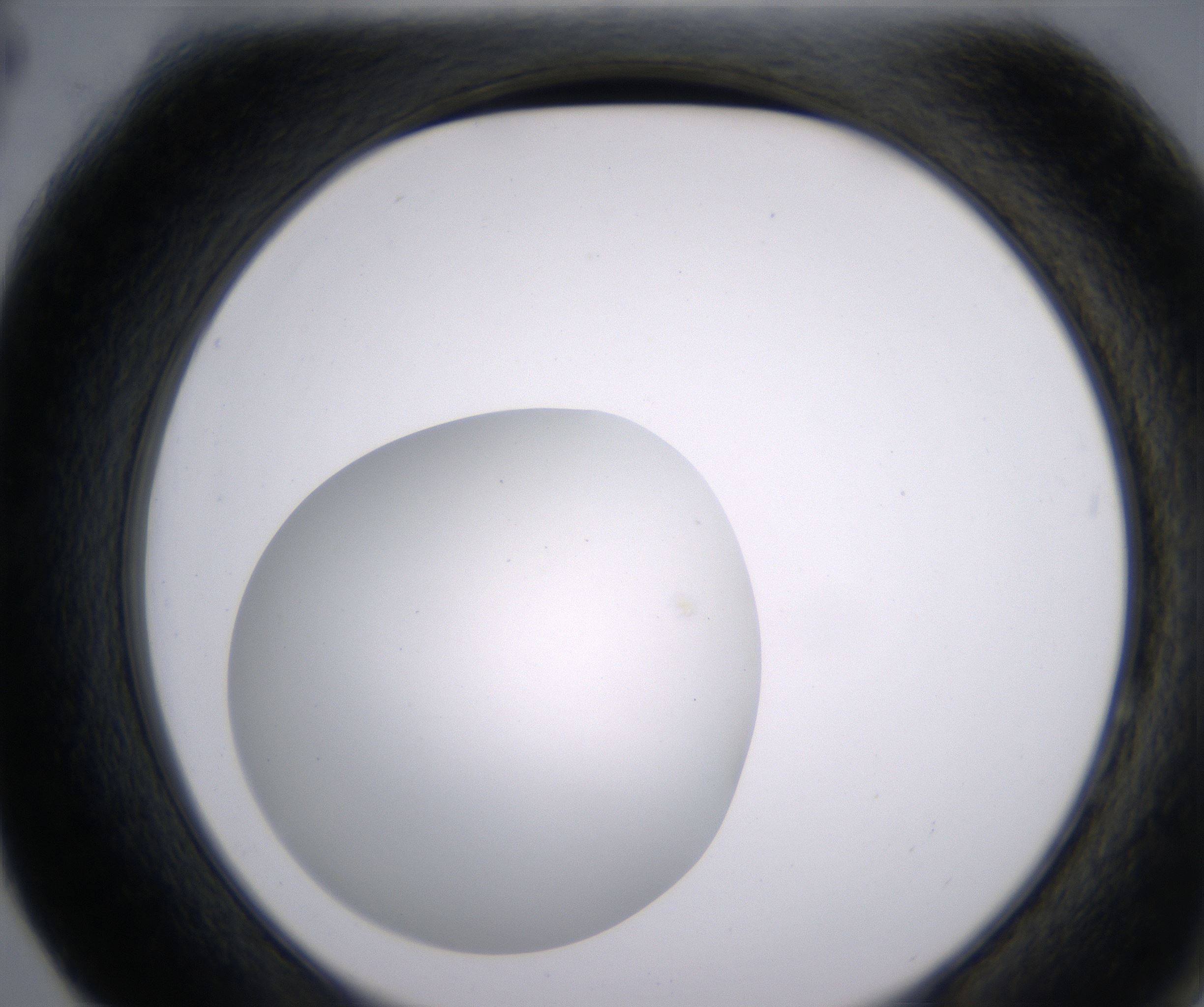 F4_HighResolution_Clear_2.jpg