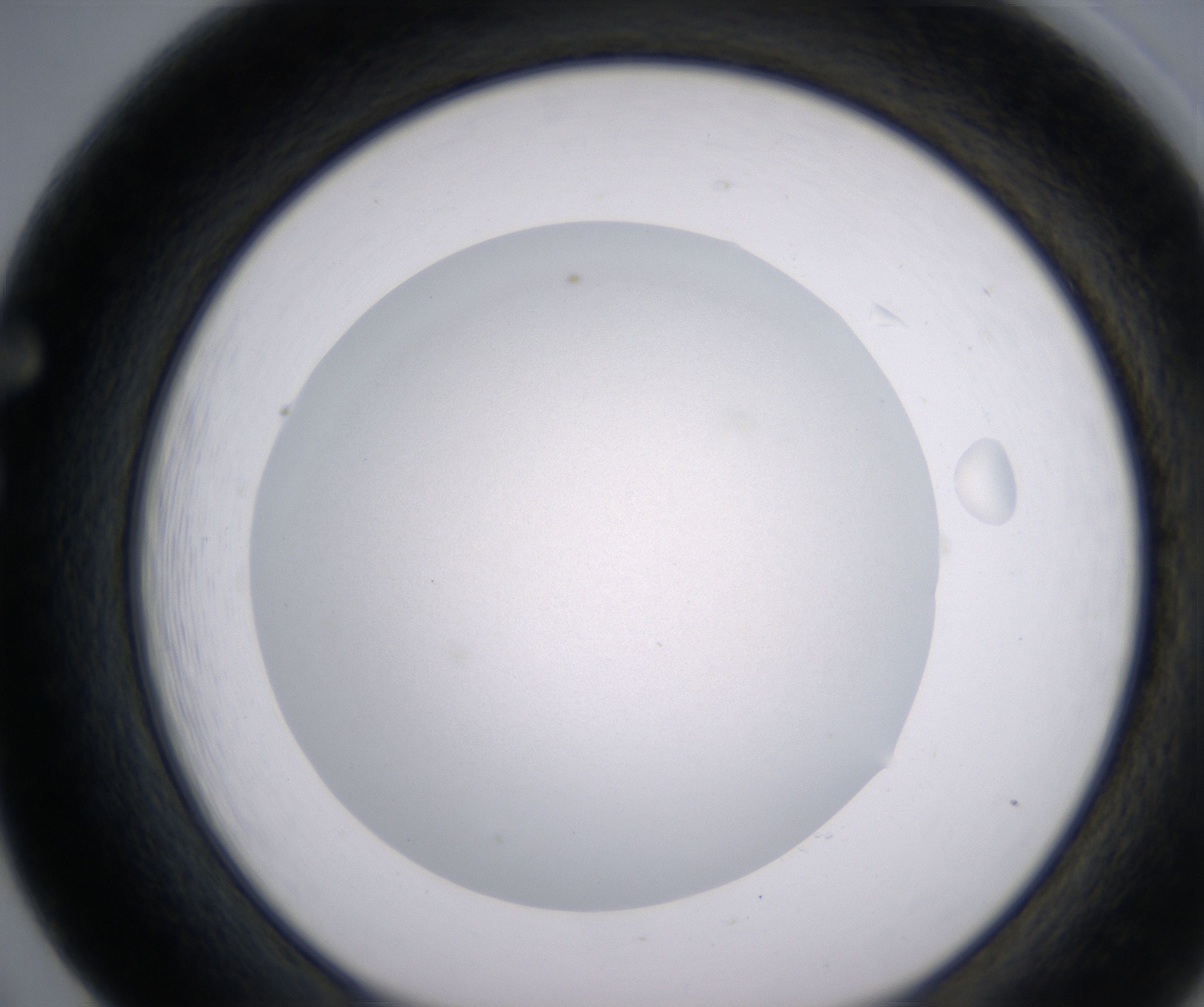 F5_HighResolution_Clear_1.jpg