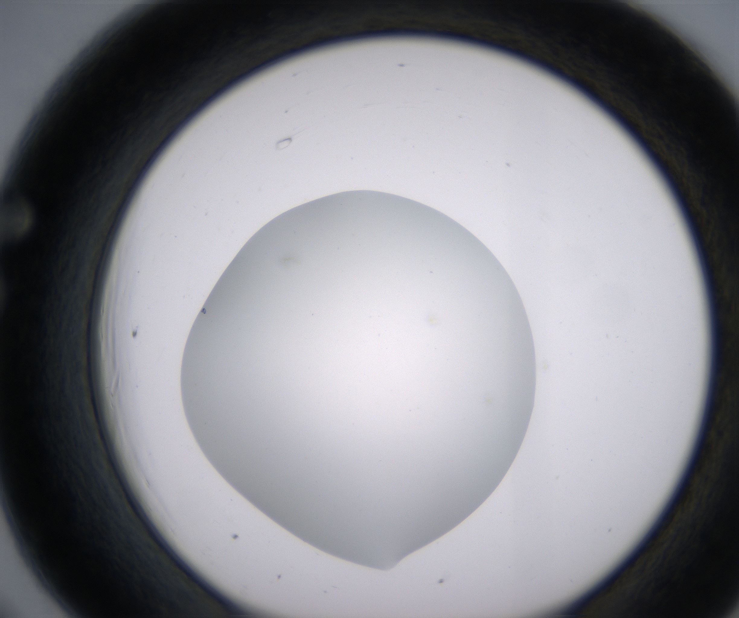 F6_HighResolution_Clear_1.jpg