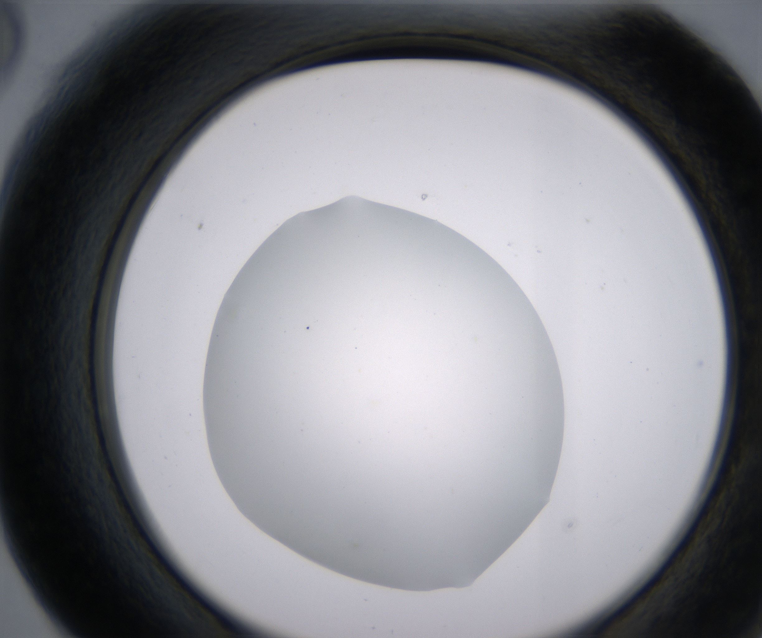 F6_HighResolution_Clear_2.jpg