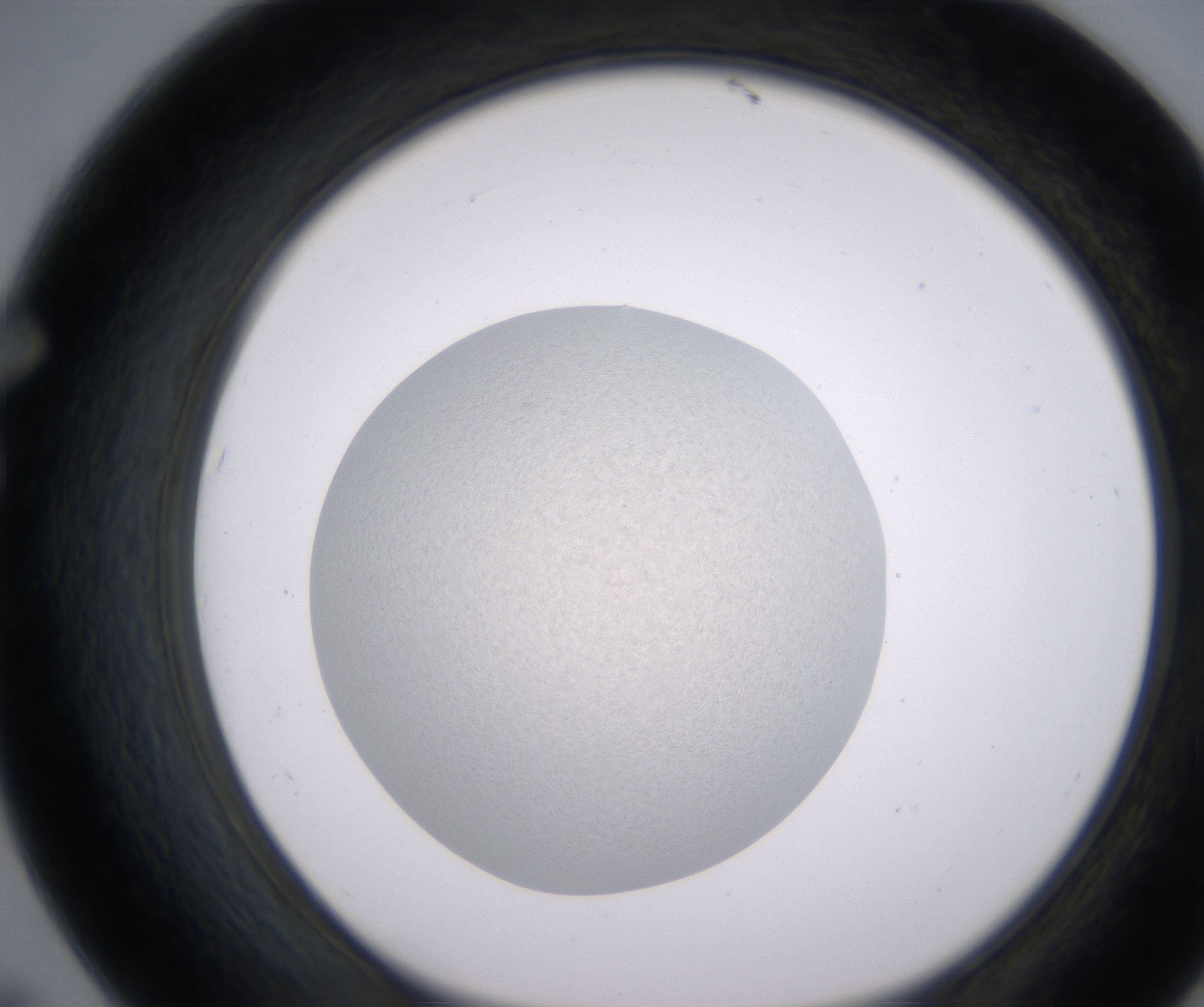 F7_HighResolution_Precipitate_1.jpg