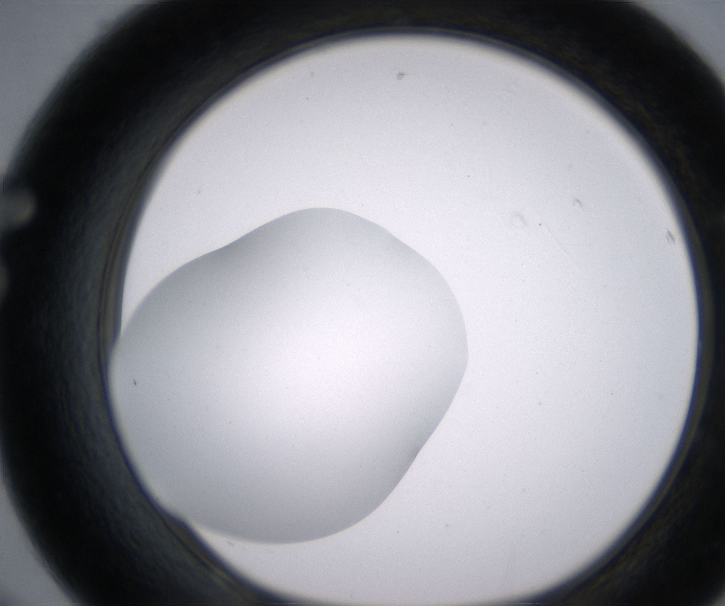 F8_HighResolution_Clear_1.jpg