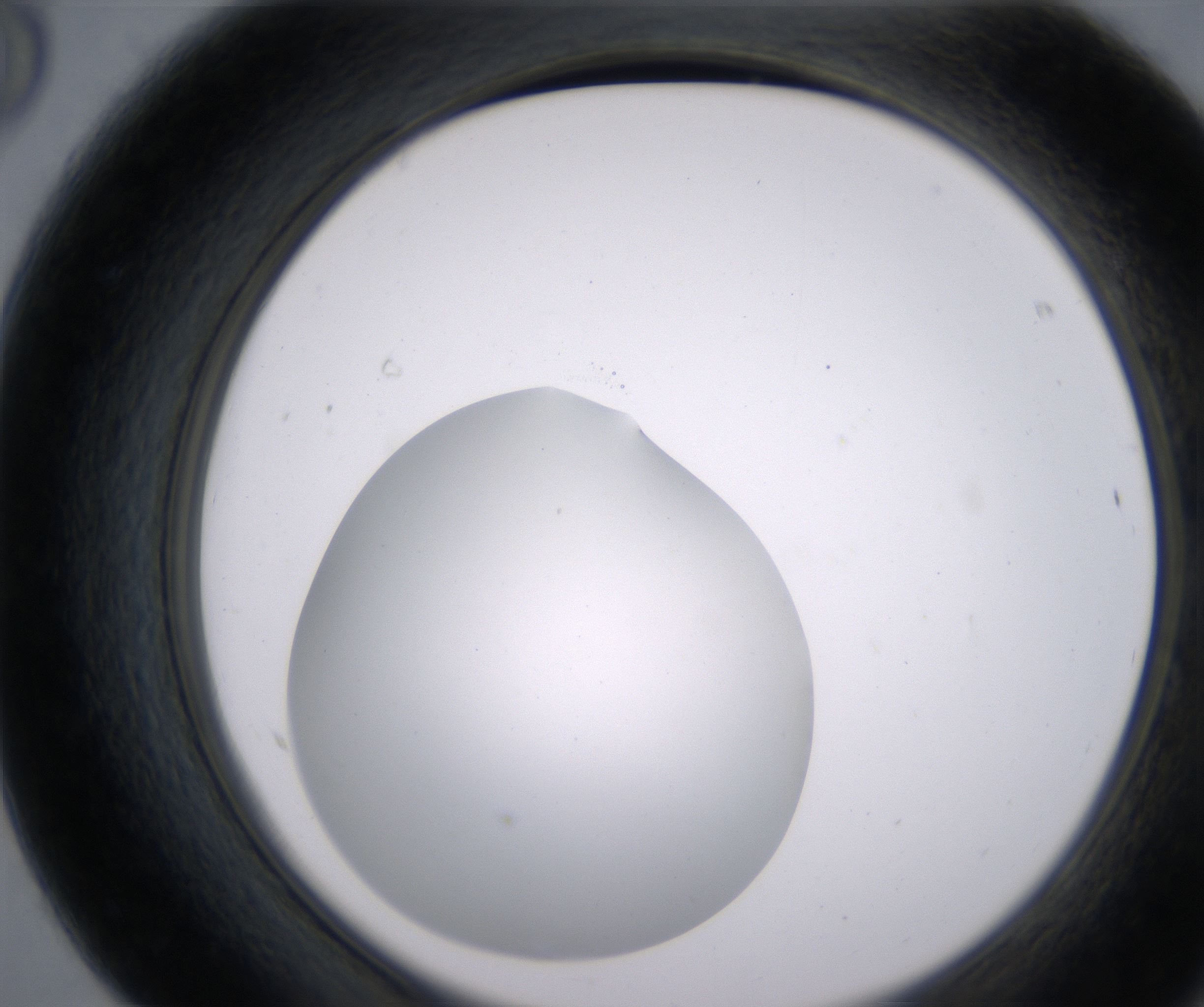F8_HighResolution_Clear_2.jpg