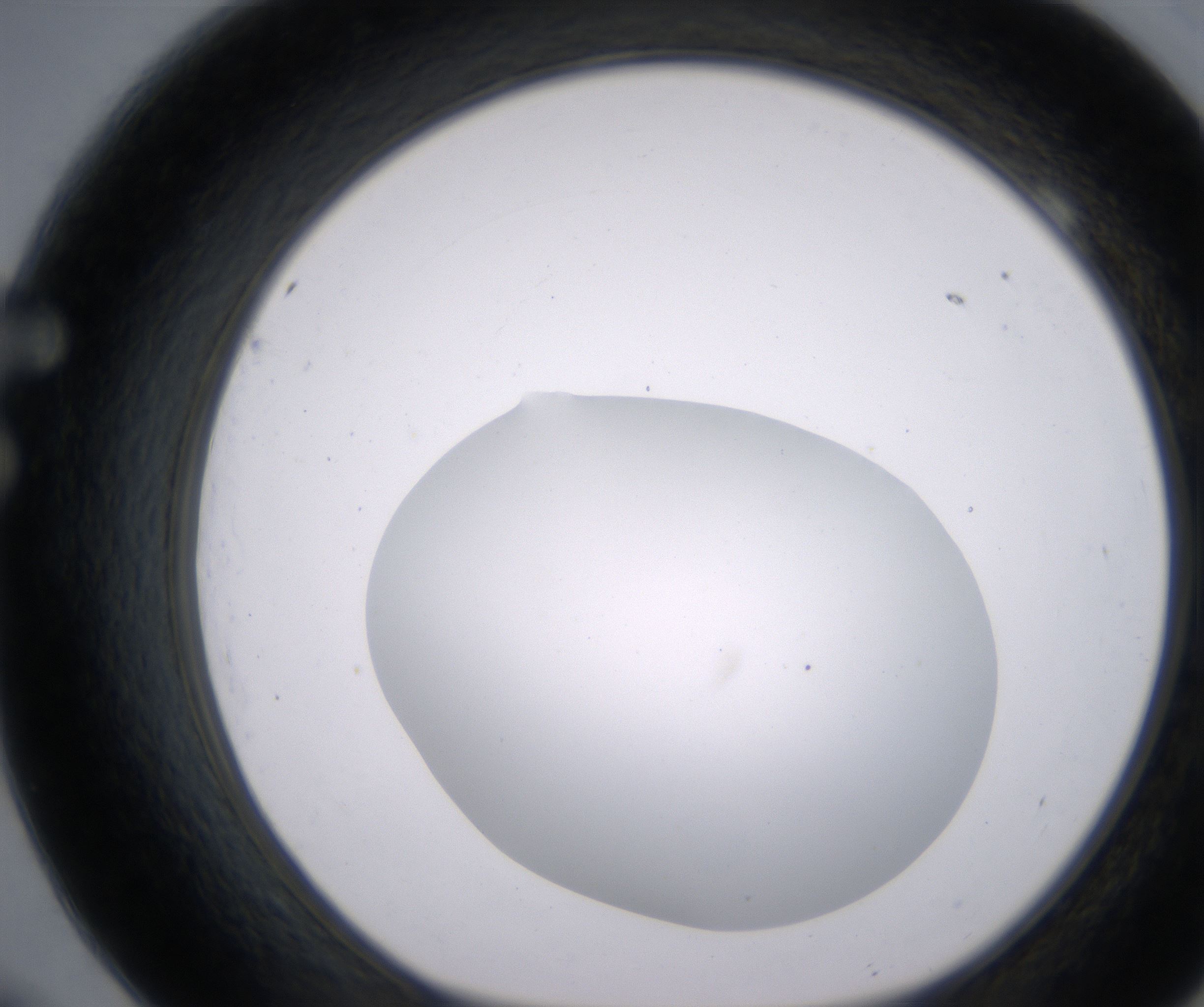 F9_HighResolution_Clear_1.jpg
