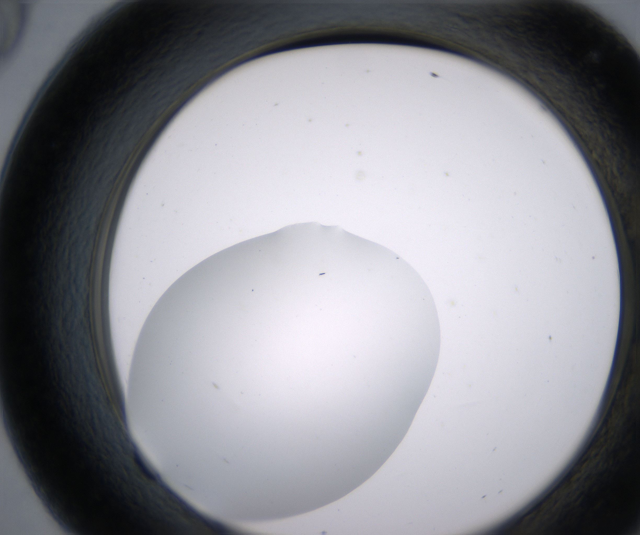 F9_HighResolution_Clear_2.jpg