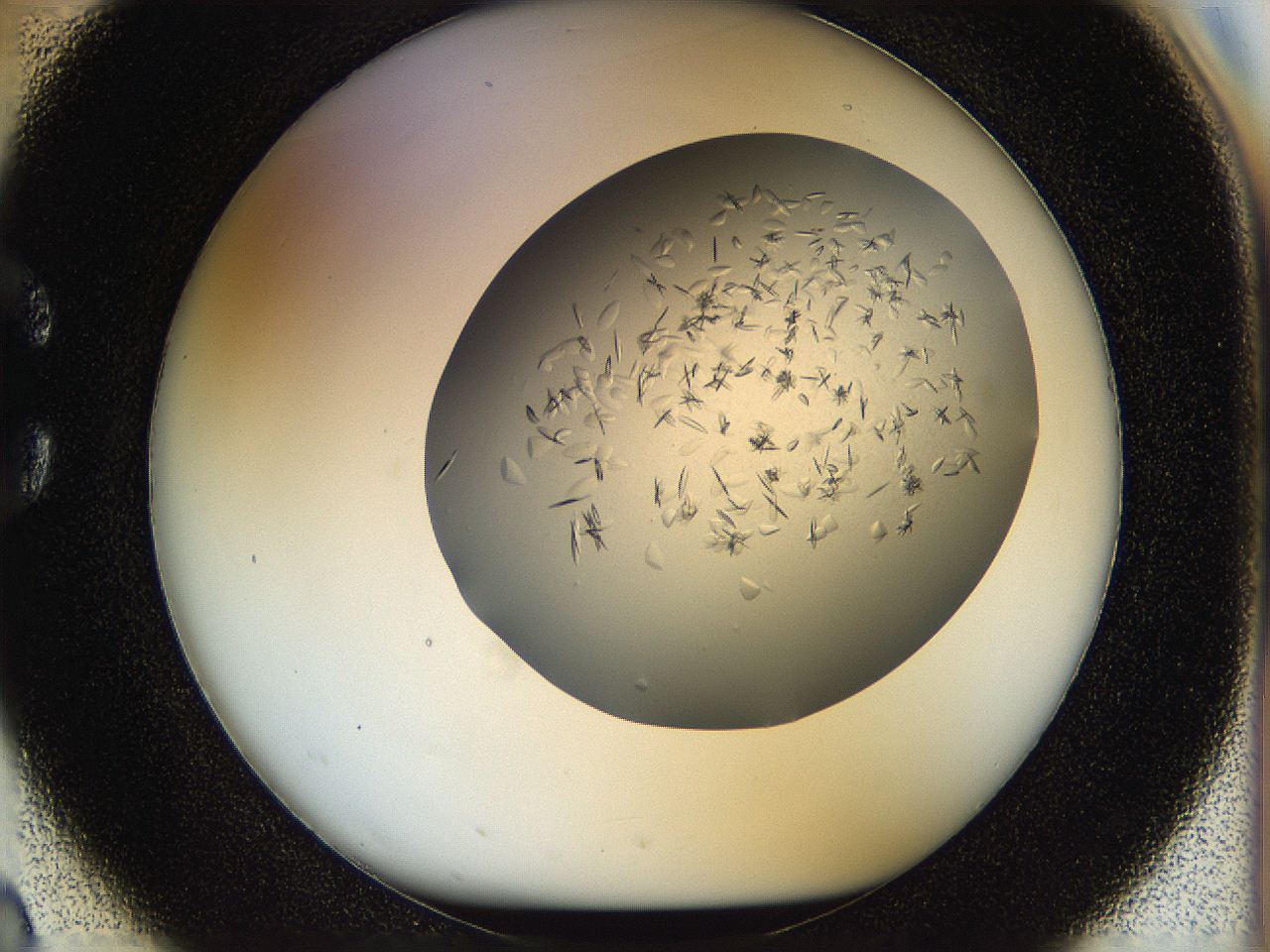 05jq_C2_ImagerDefaults_8.jpg