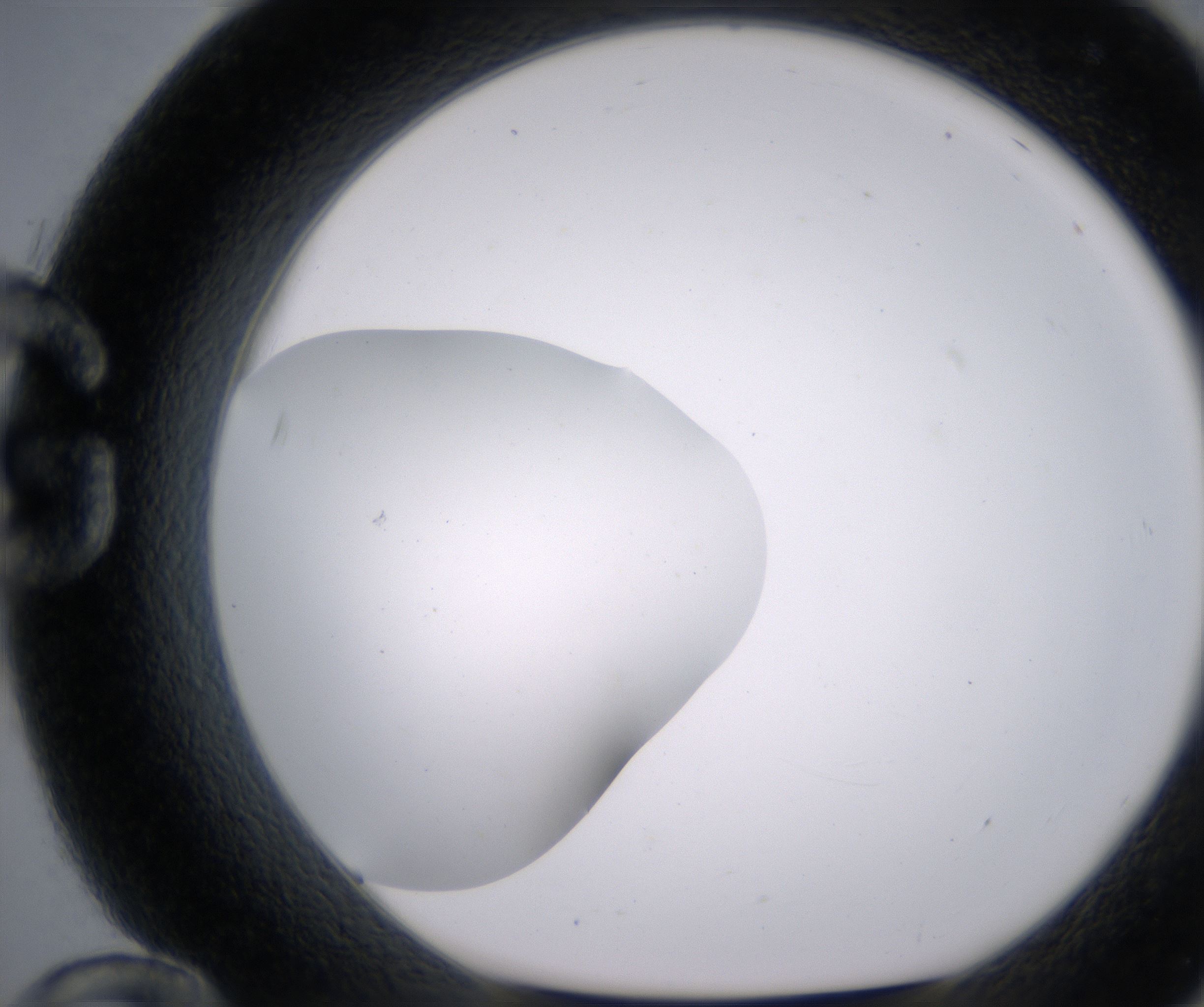 G12_HighResolution_Clear_1.jpg