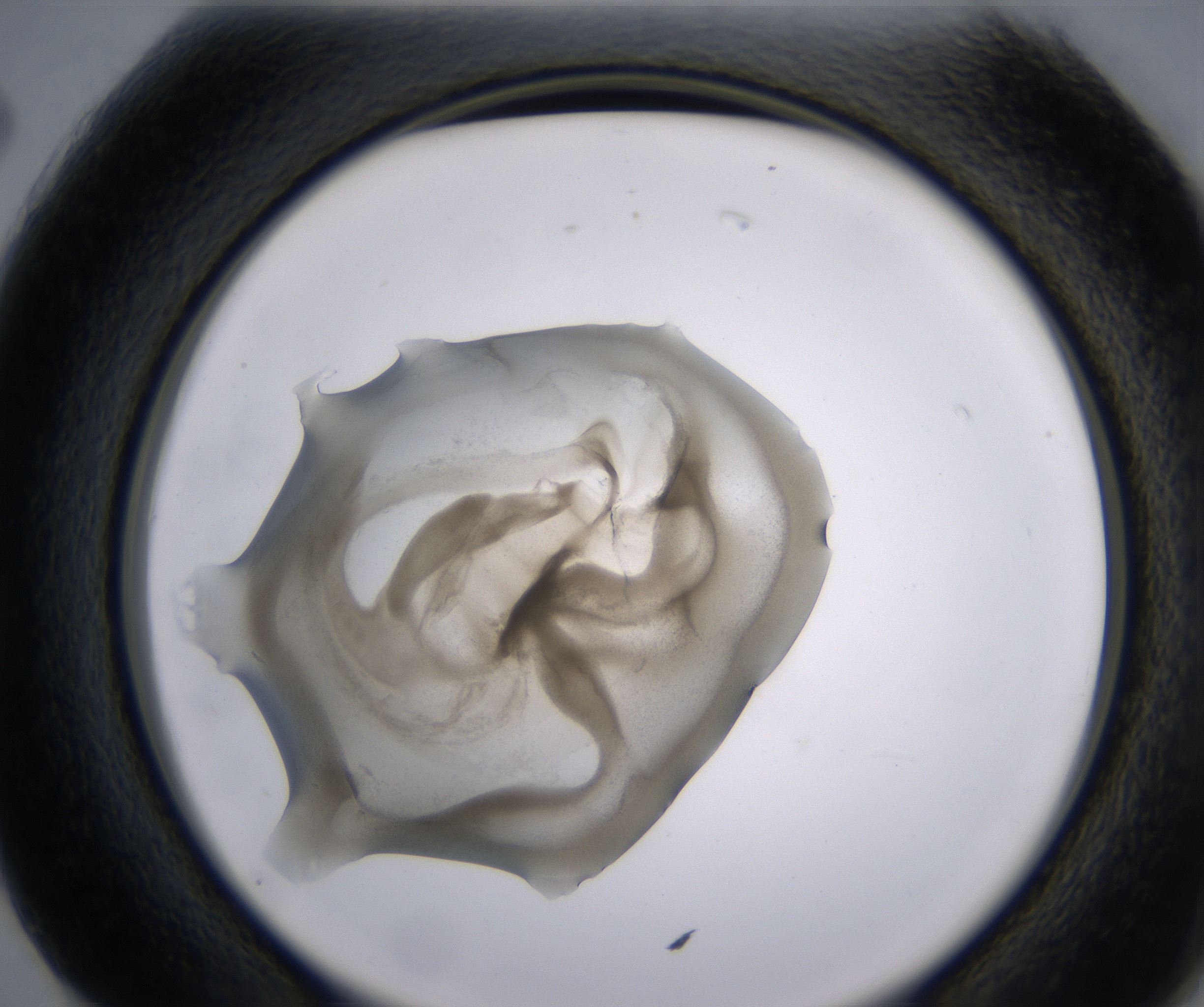 G2_HighResolution_Precipitate_2.jpg