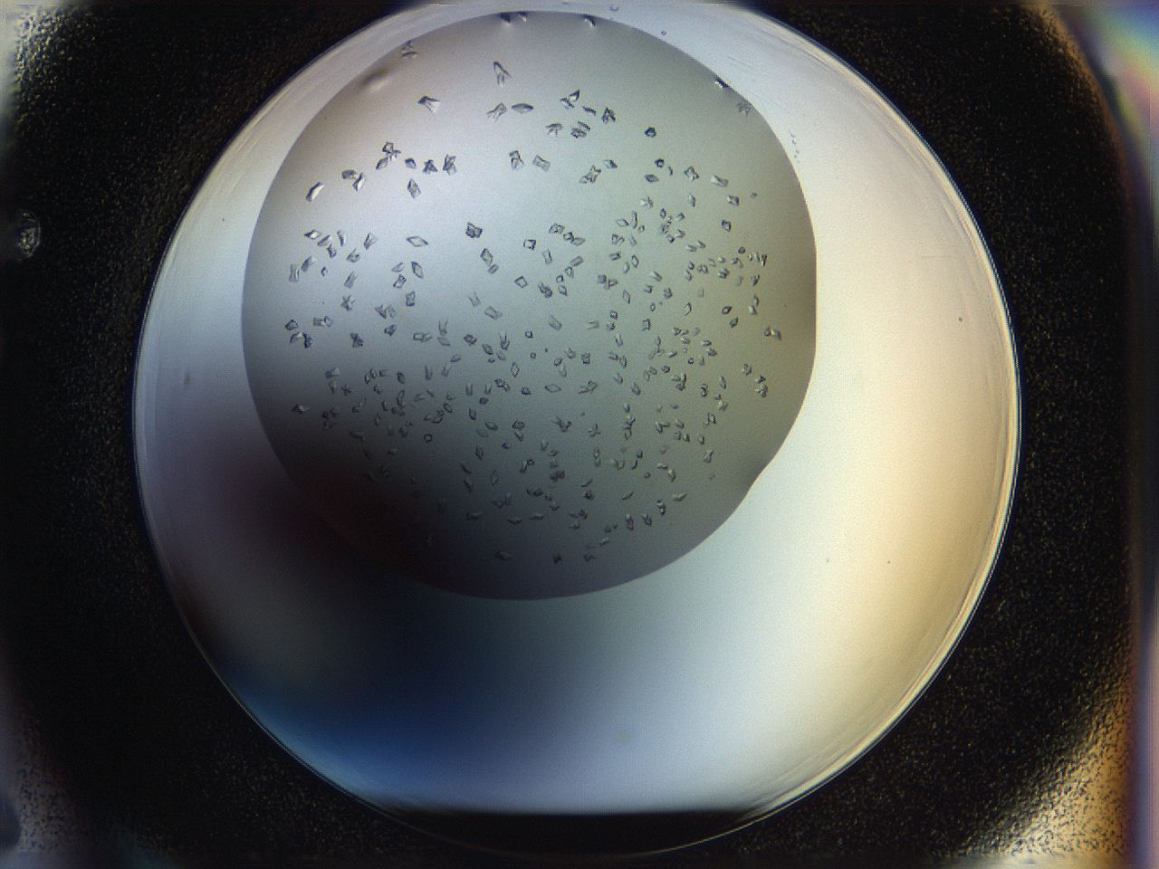05jq_F6_ImagerDefaults_9.jpg