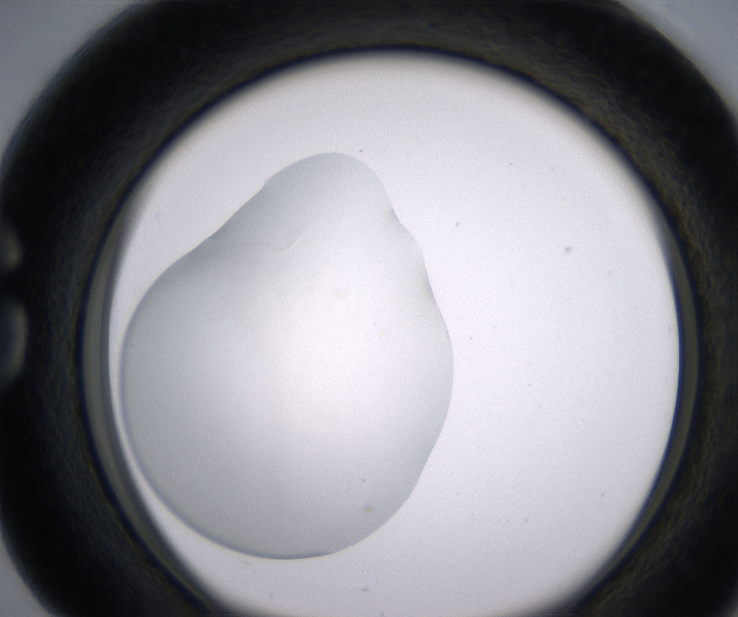 G4_HighResolution_Clear_1.jpg