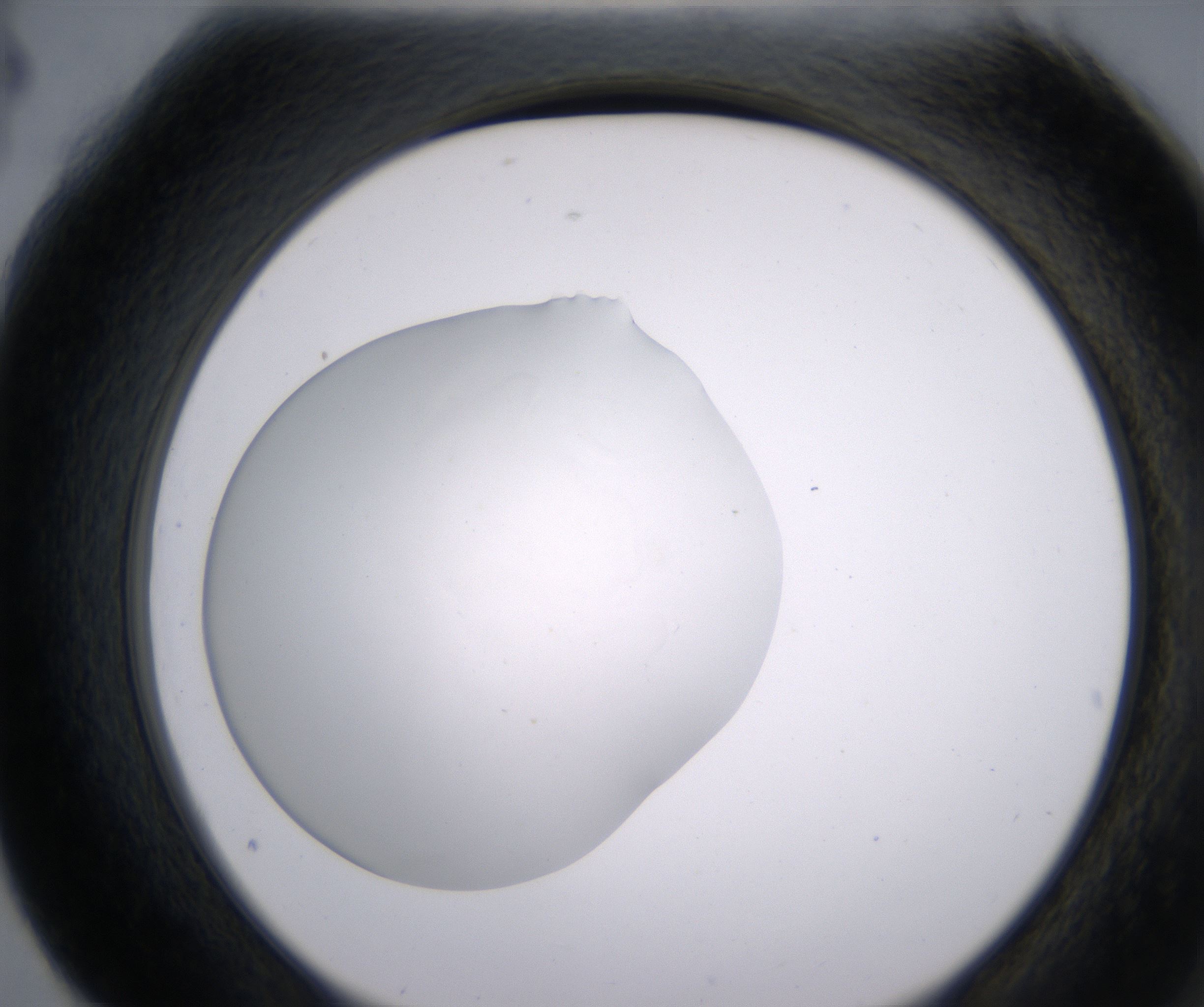 G4_HighResolution_Clear_2.jpg