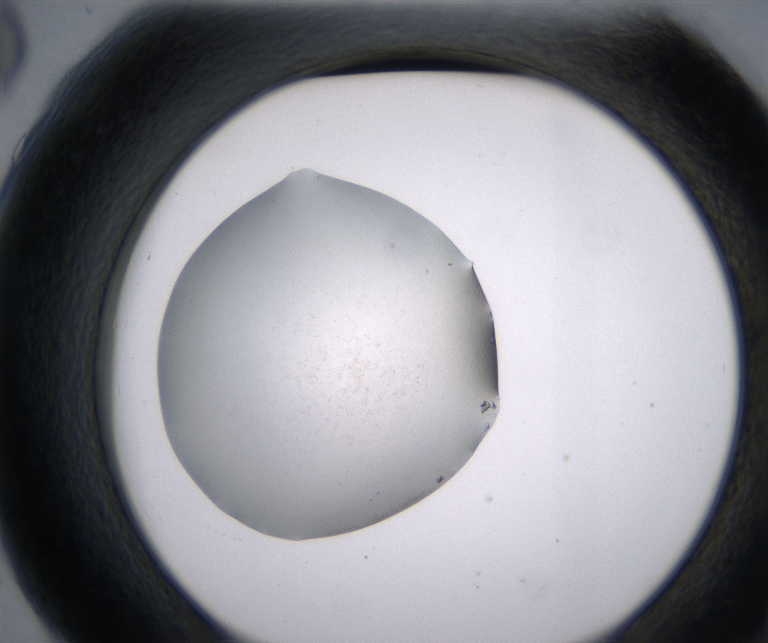 G6_HighResolution_Precipitate_2.jpg