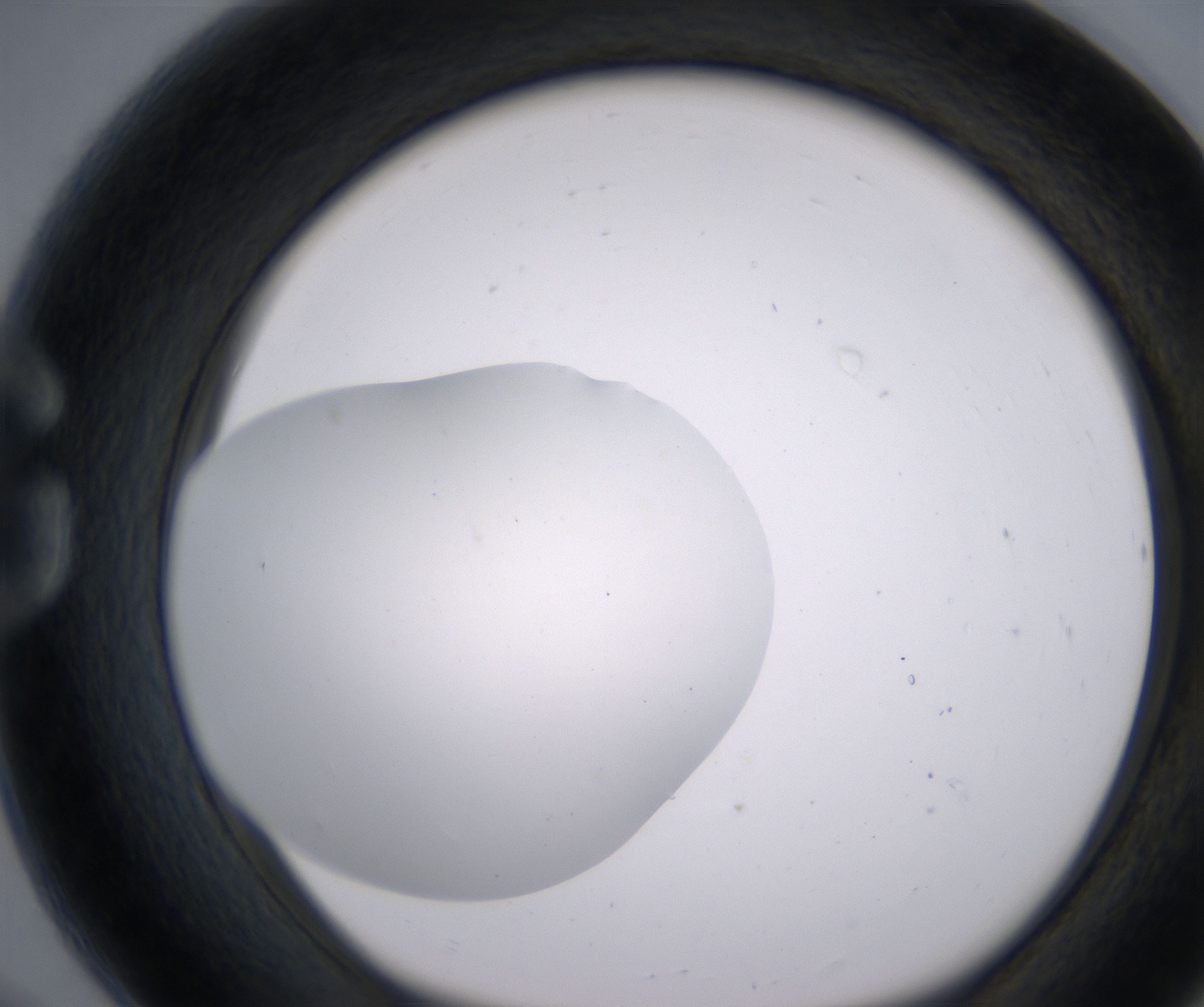 G8_HighResolution_Clear_1.jpg