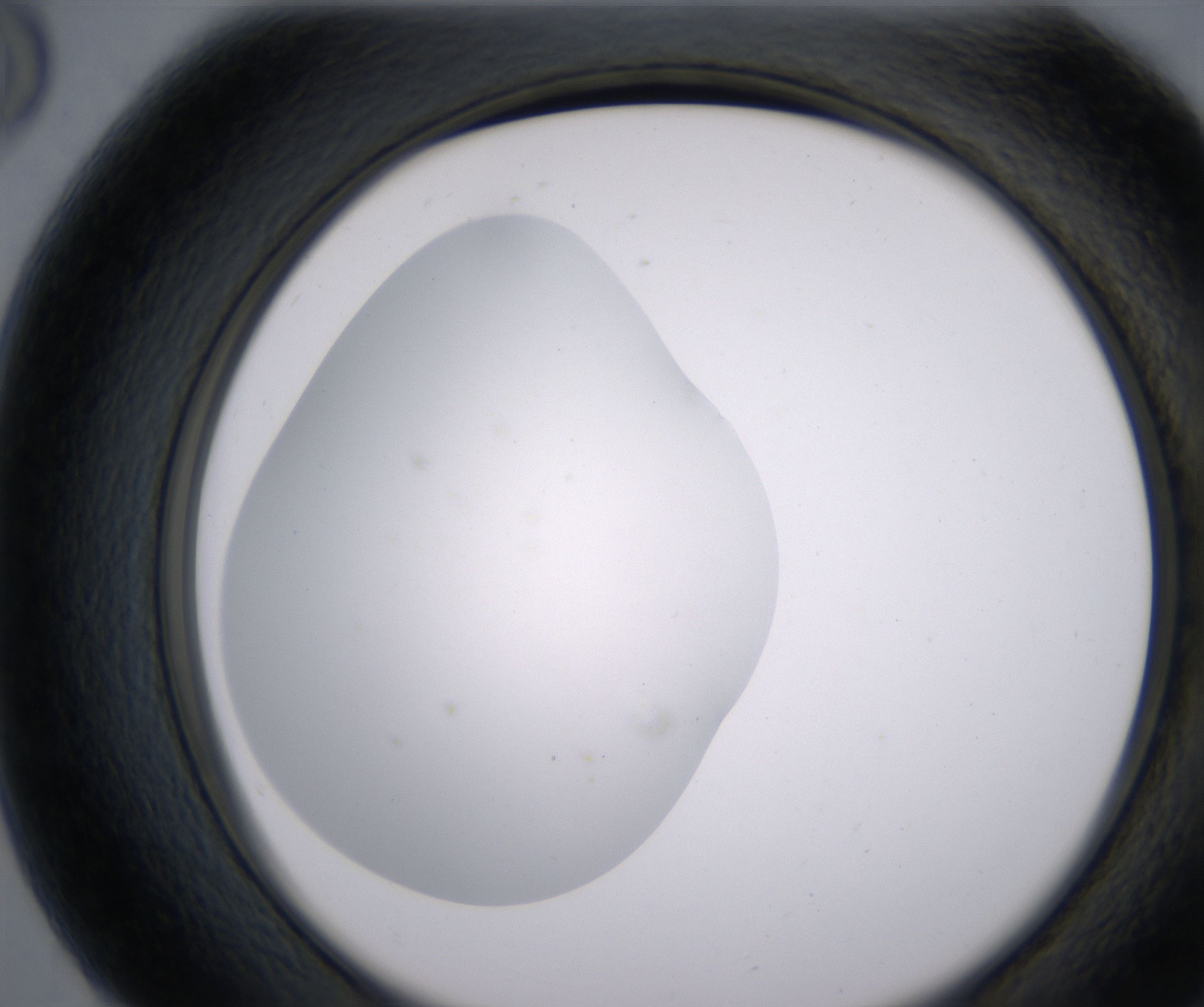 G8_HighResolution_Clear_2.jpg