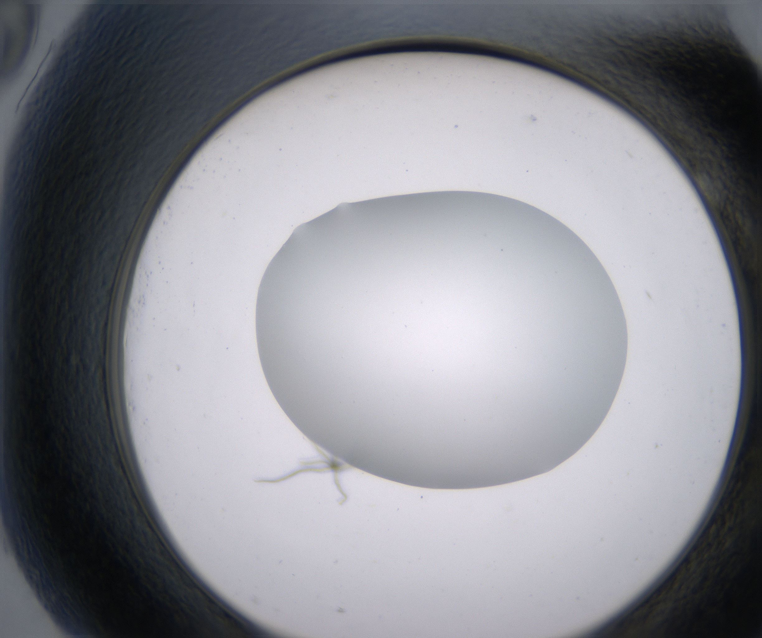 G9_HighResolution_Clear_2.jpg