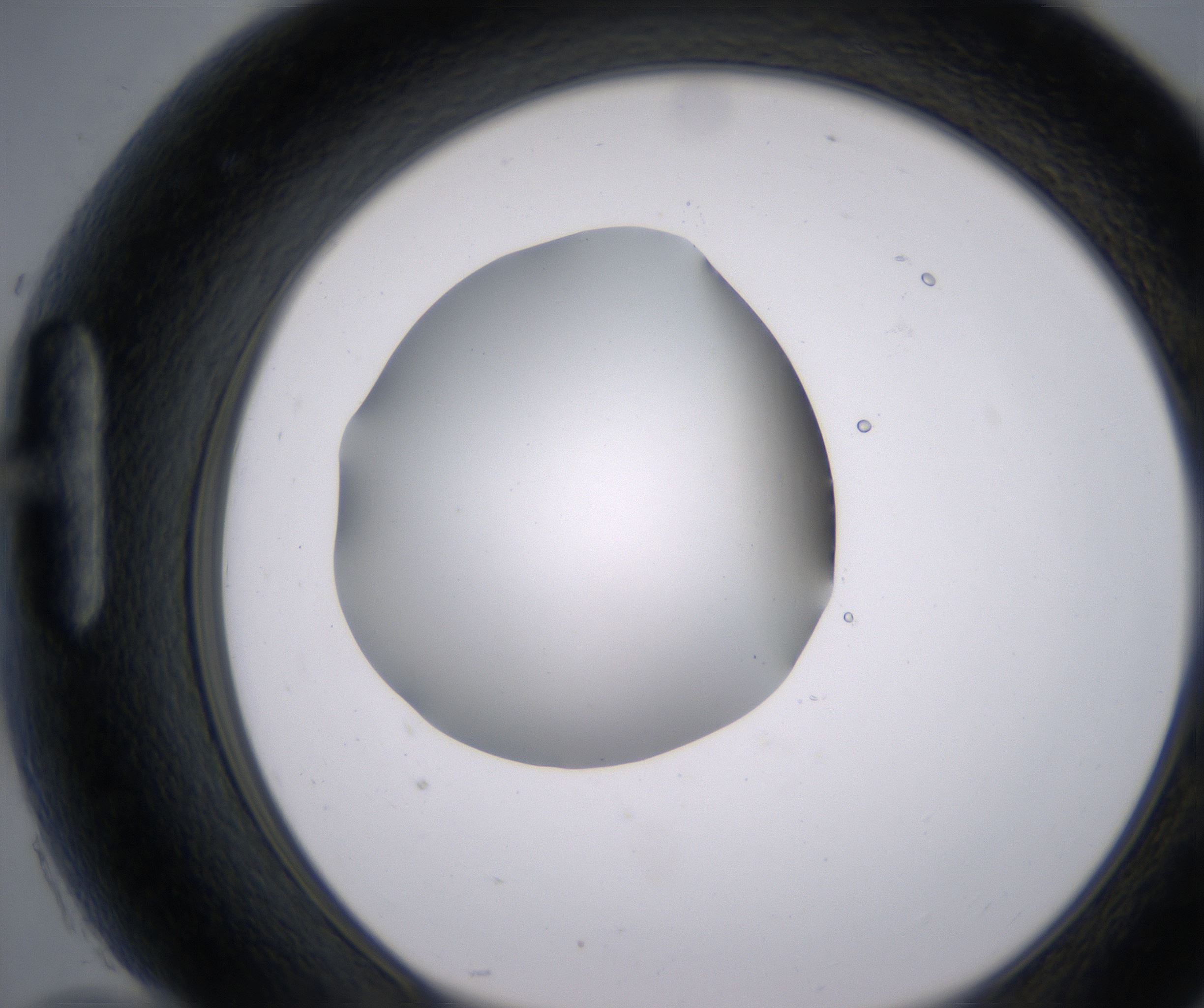 H10_HighResolution_Clear_1.jpg