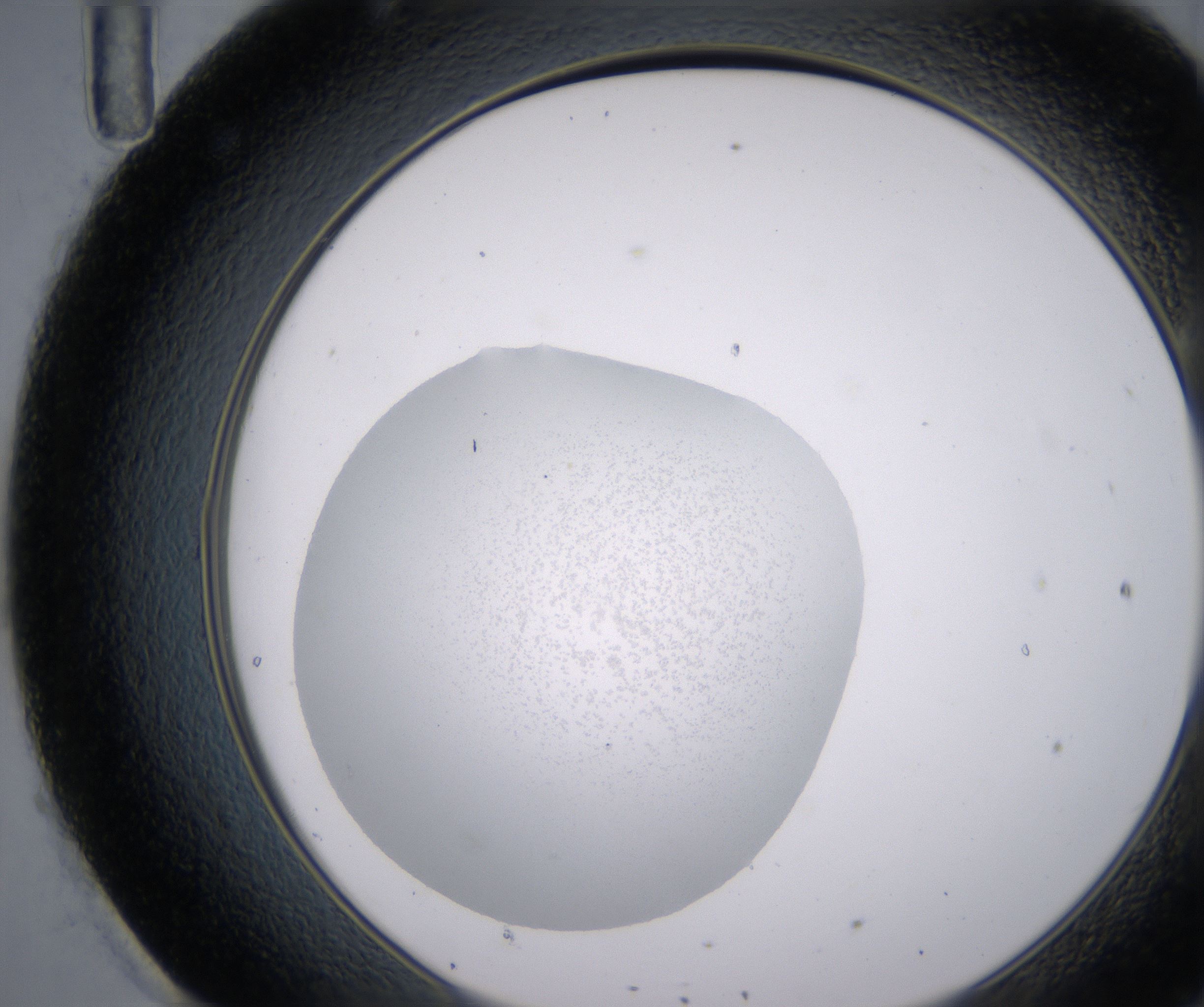 H11_HighResolution_Precipitate_2.jpg