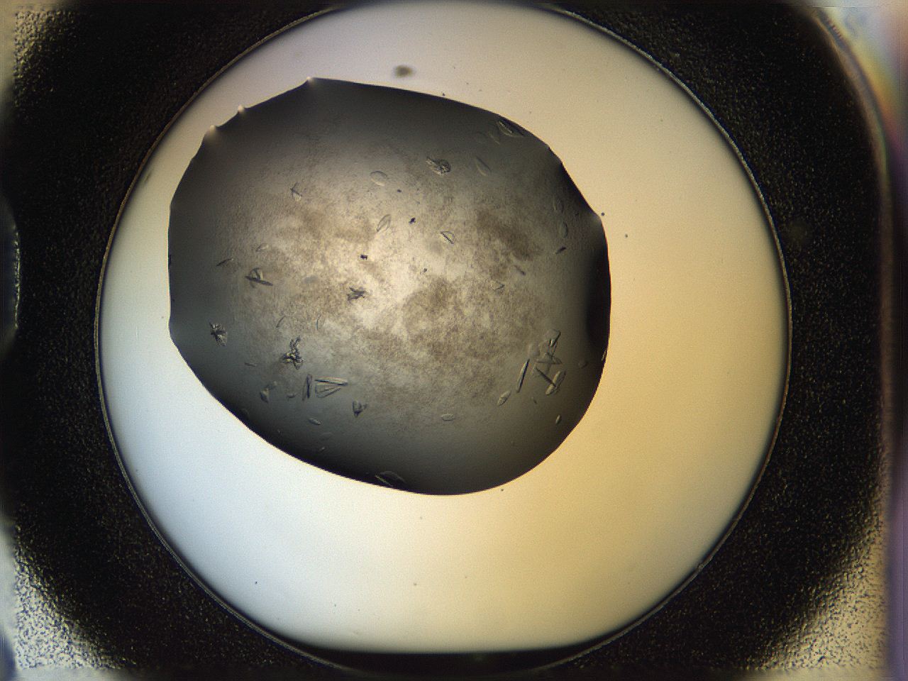 05jq_D8_ImagerDefaults_8.jpg