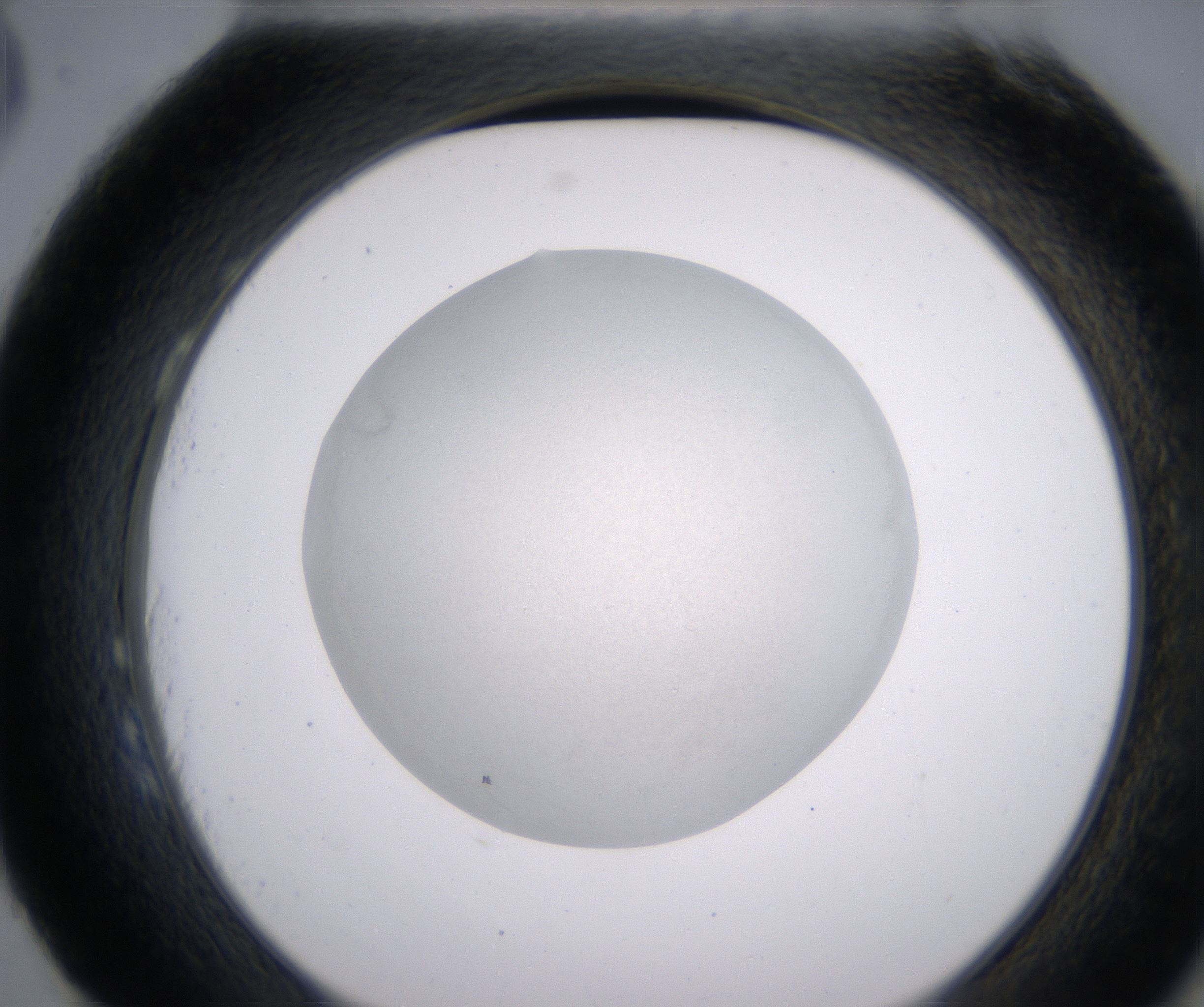 H3_HighResolution_Clear_2.jpg