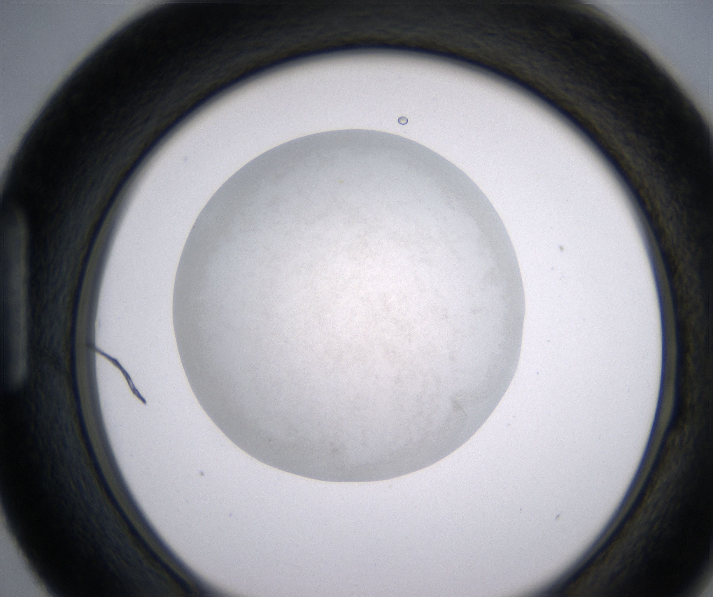 H3_HighResolution_Precipitate_1.jpg