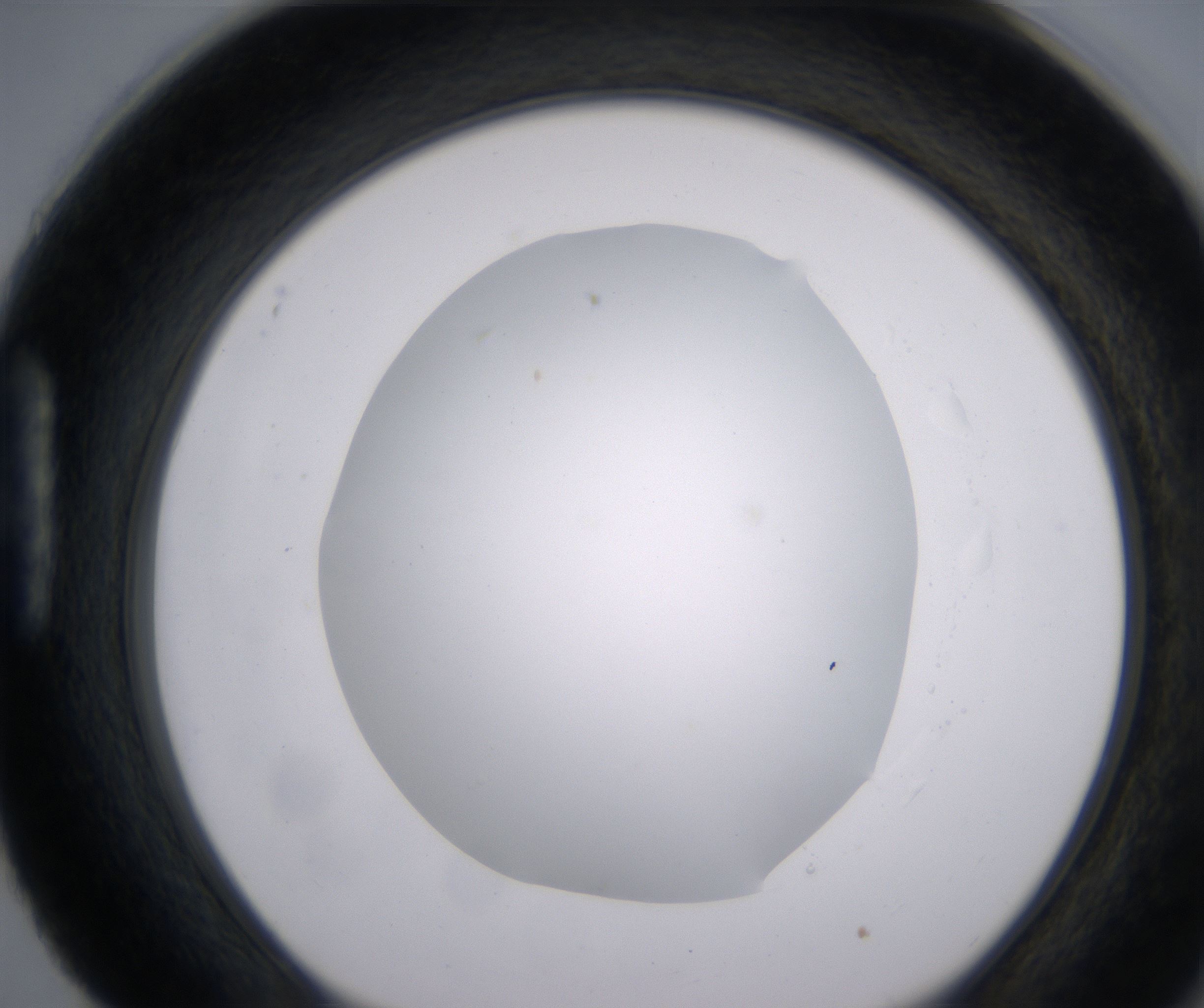 H4_HighResolution_Clear_1.jpg