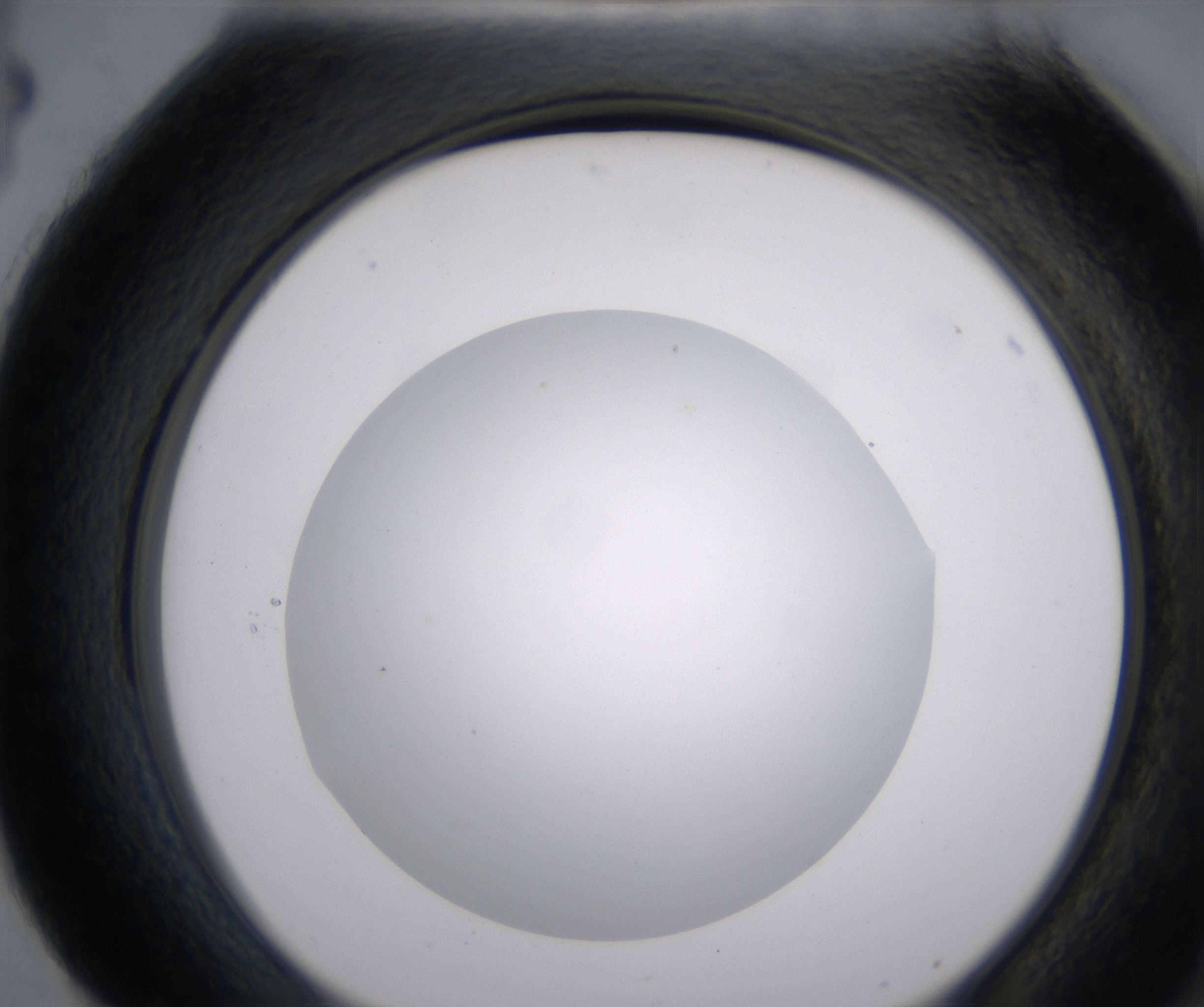 H4_HighResolution_Clear_2.jpg