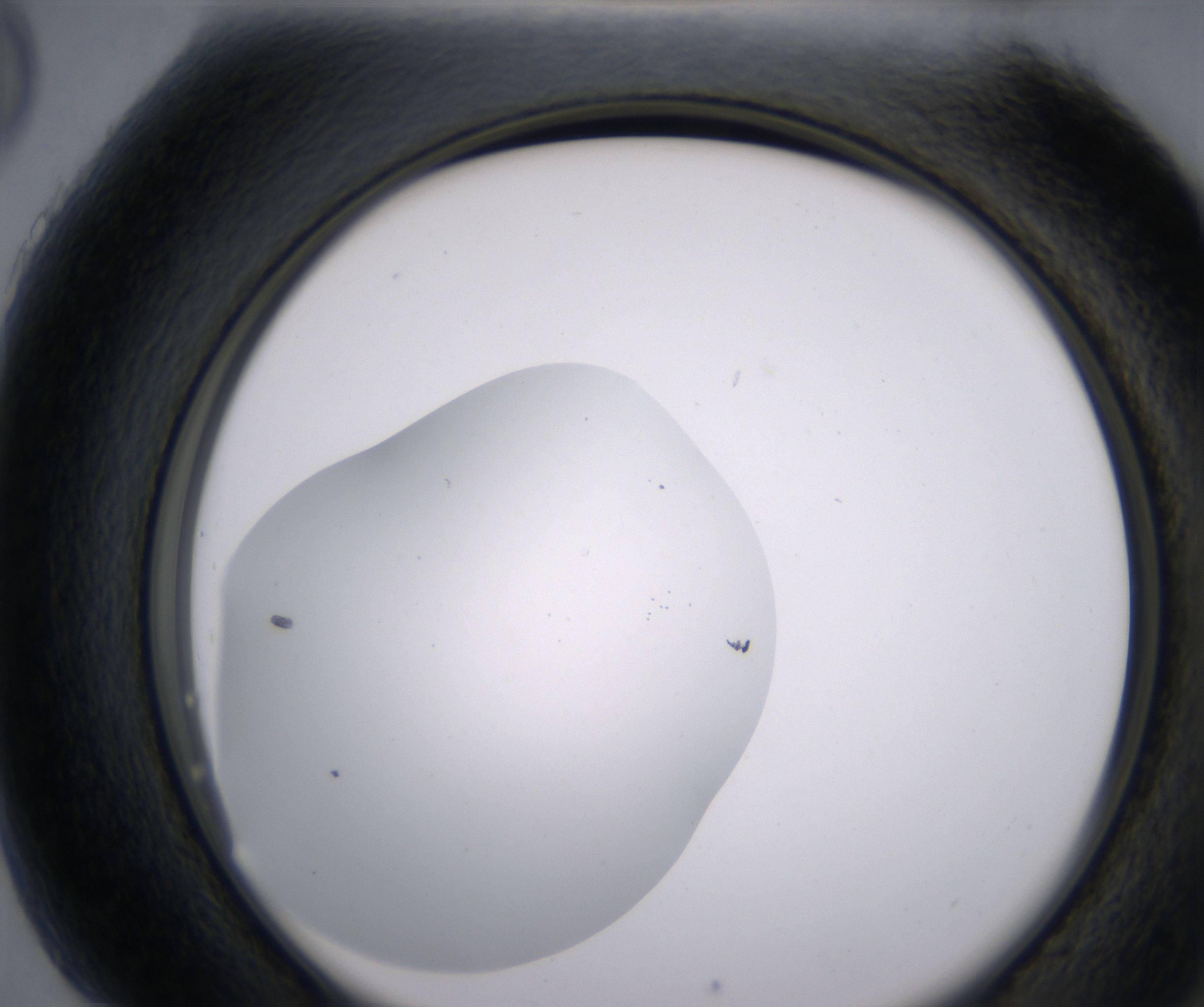 H5_HighResolution_Clear_2.jpg