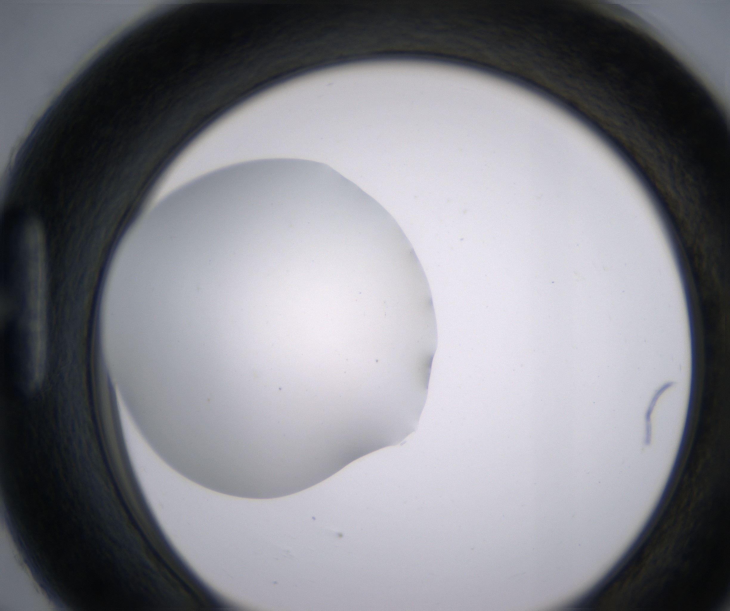 H6_HighResolution_Clear_1.jpg
