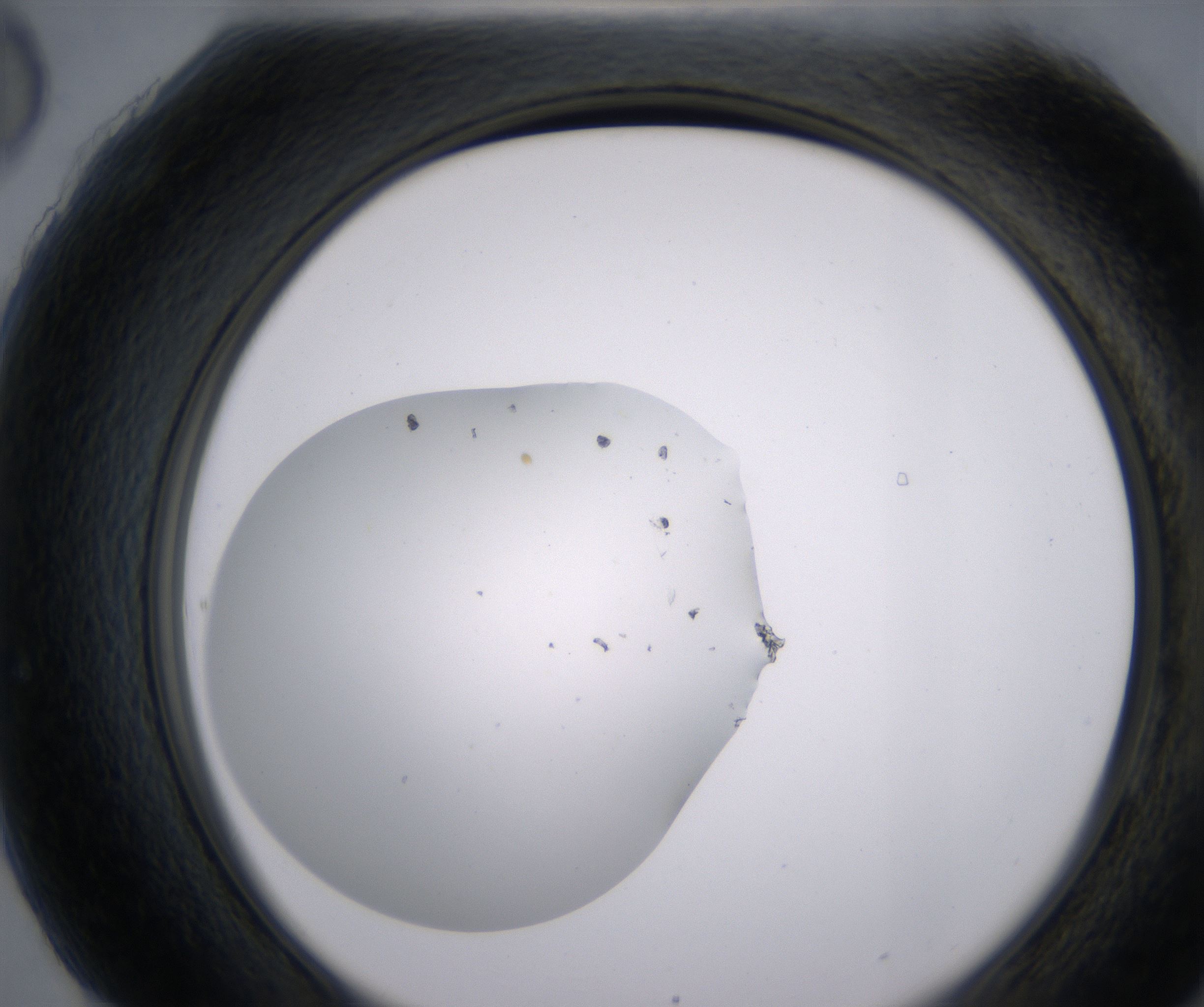 H6_HighResolution_Clear_2.jpg