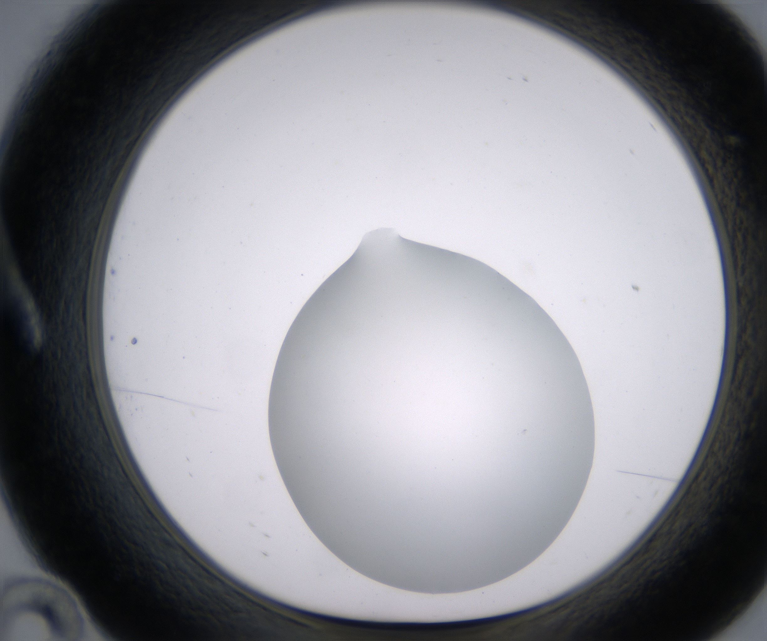 A10_HighResolution_Clear_1.jpg