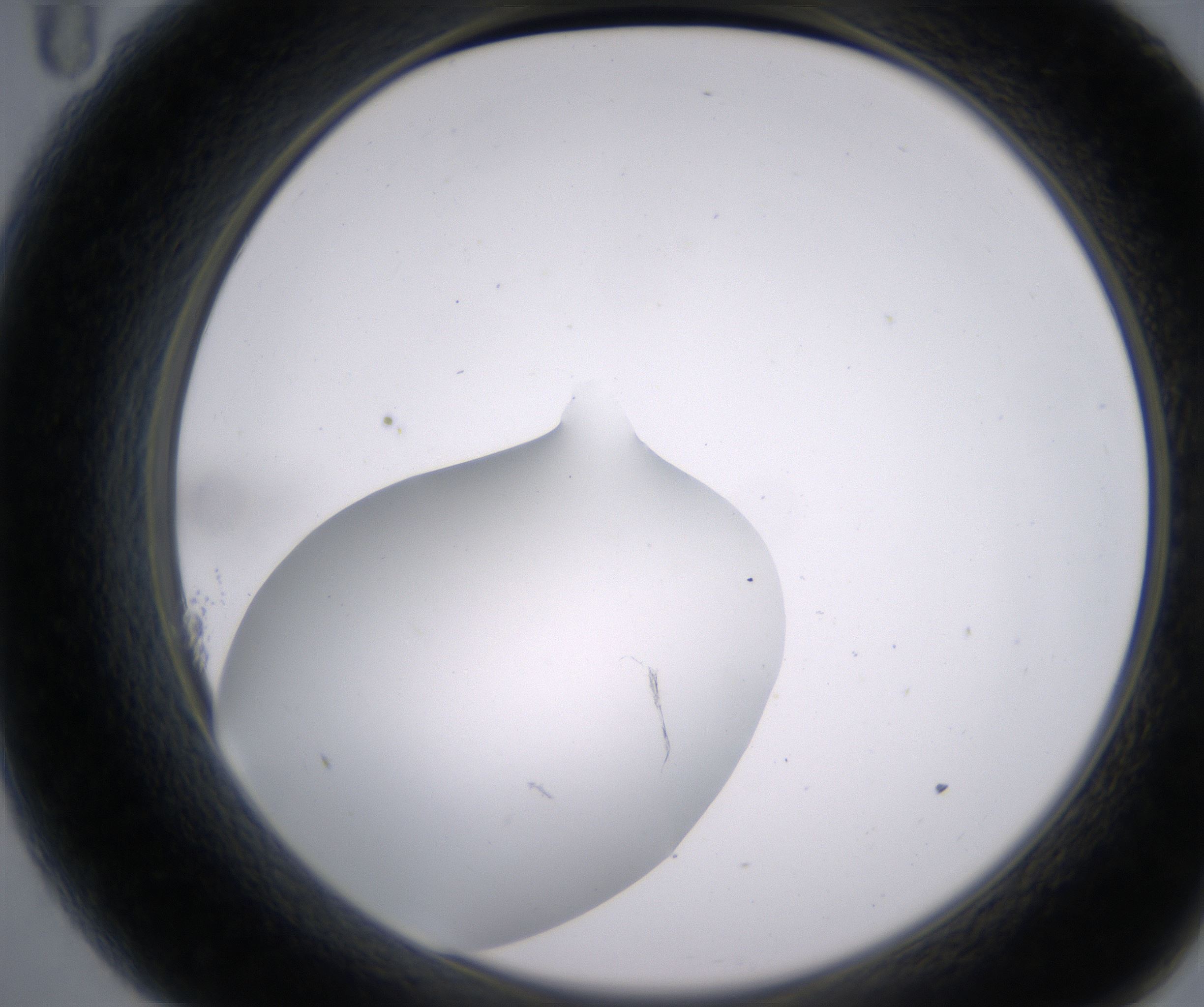 A11_HighResolution_Clear_2.jpg