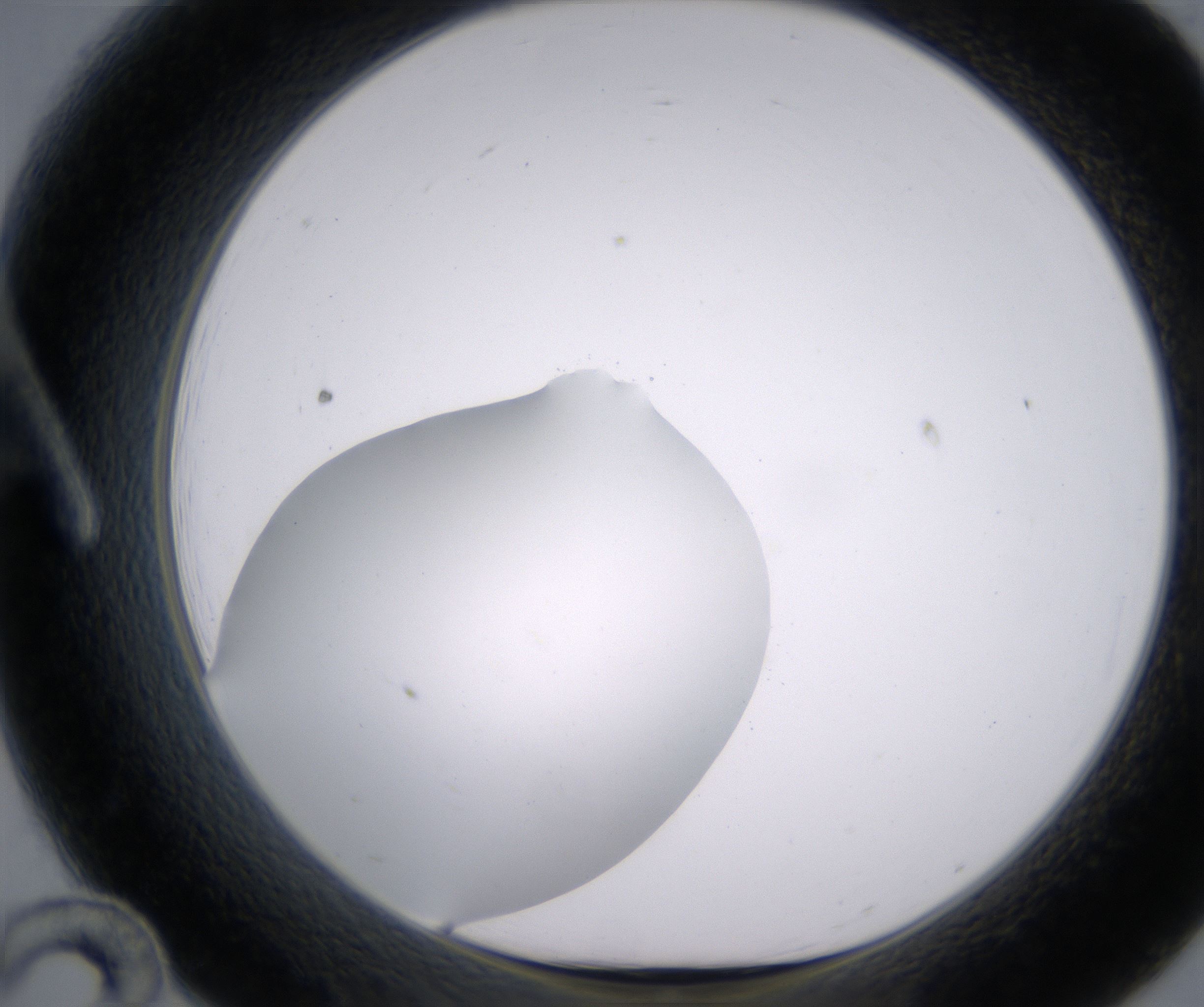 A12_HighResolution_Clear_1.jpg
