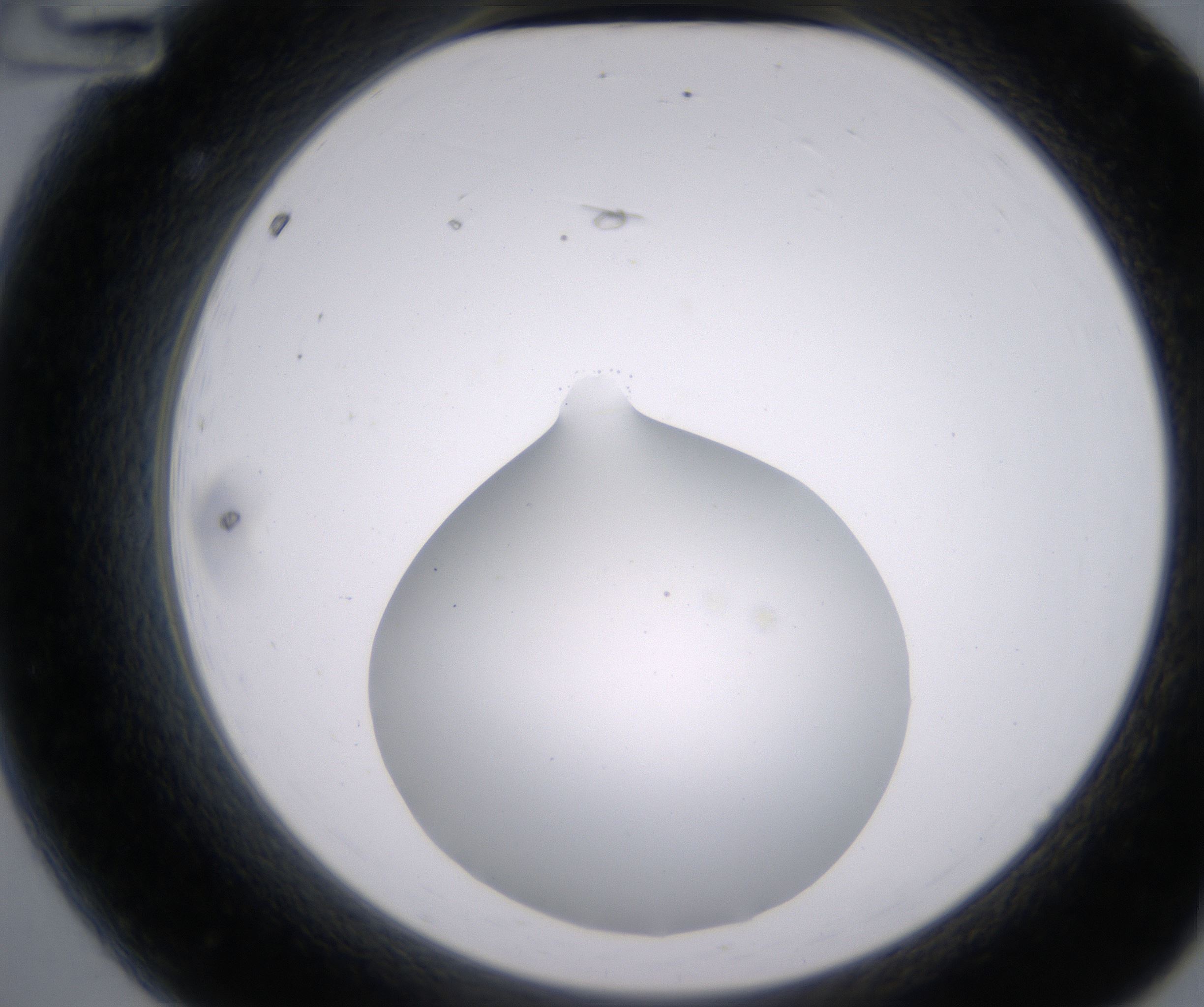 A12_HighResolution_Clear_2.jpg